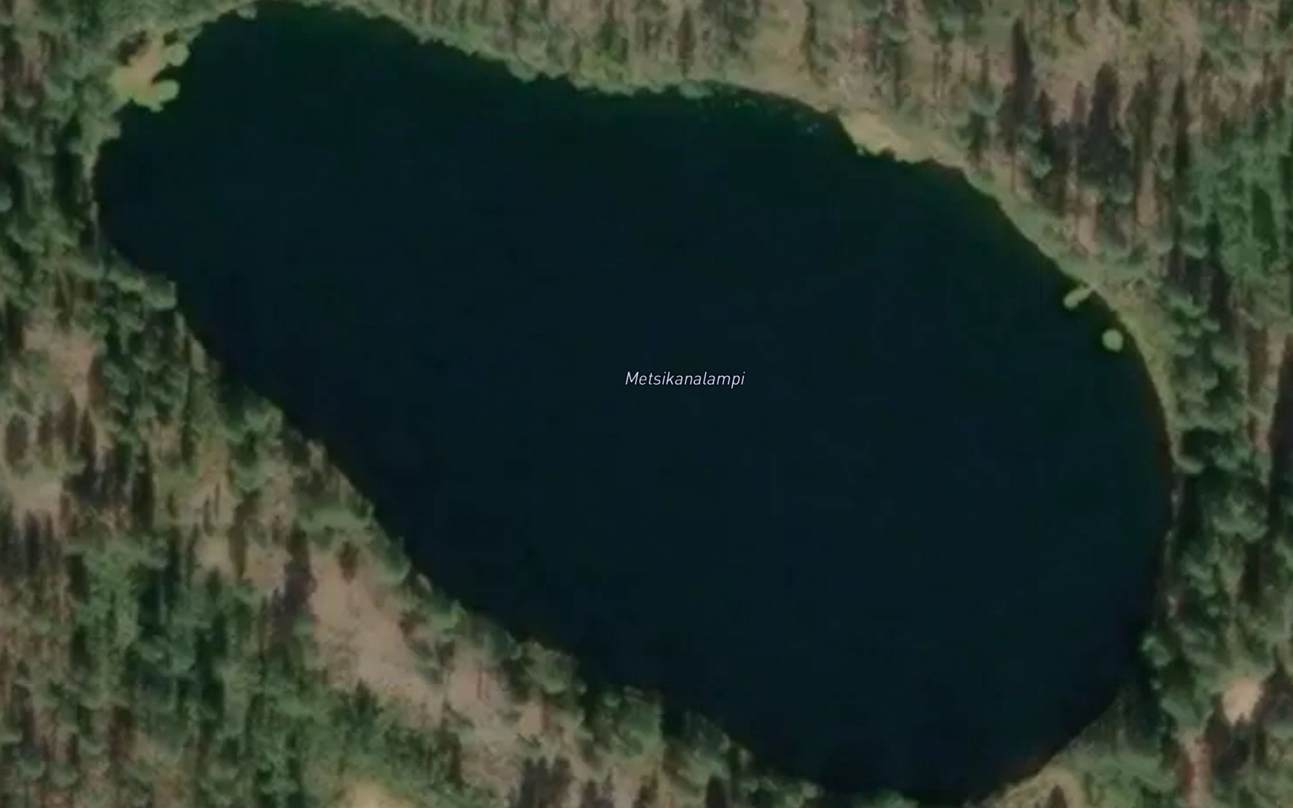 Metsikanalampi