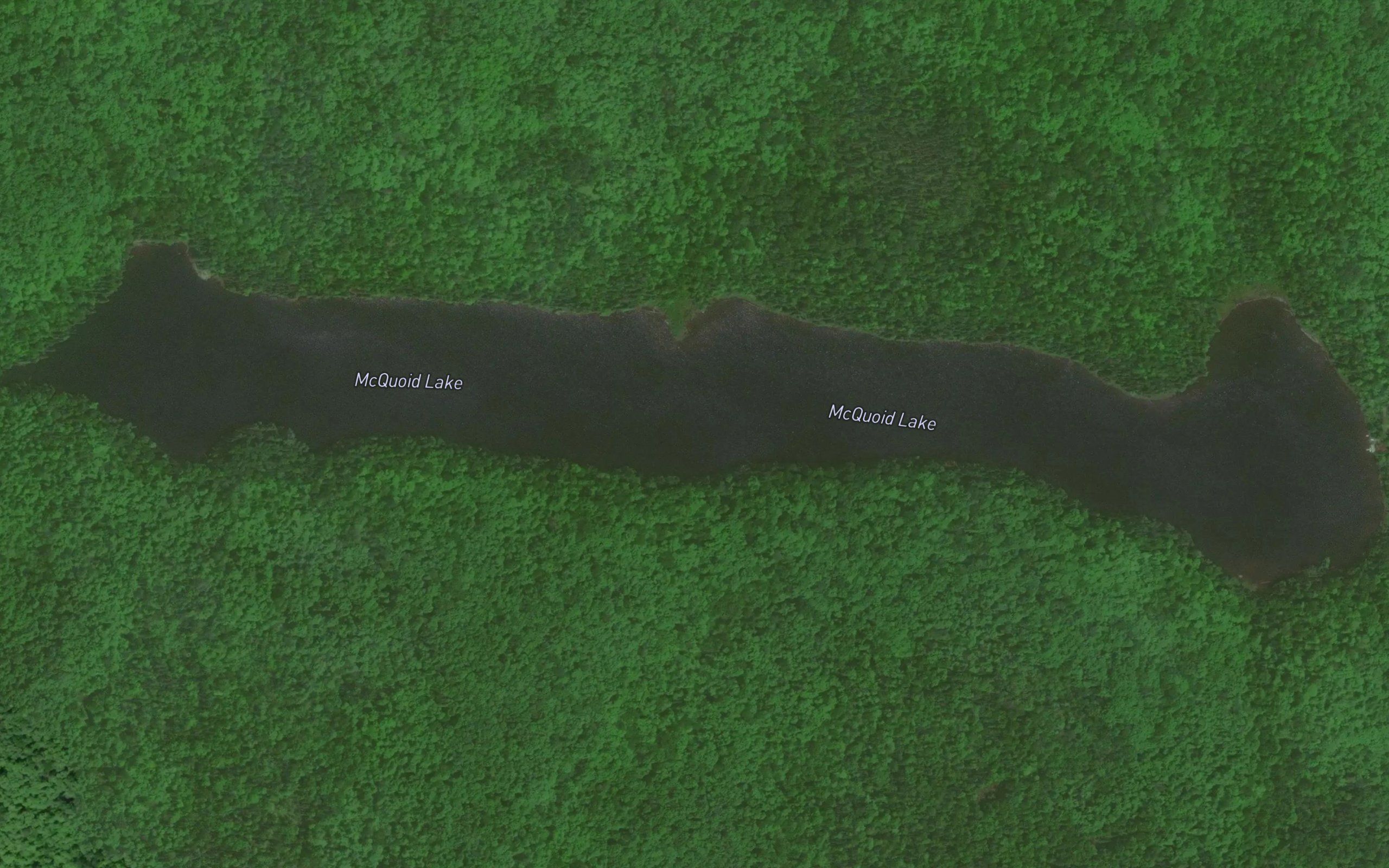 McQuoid Lake