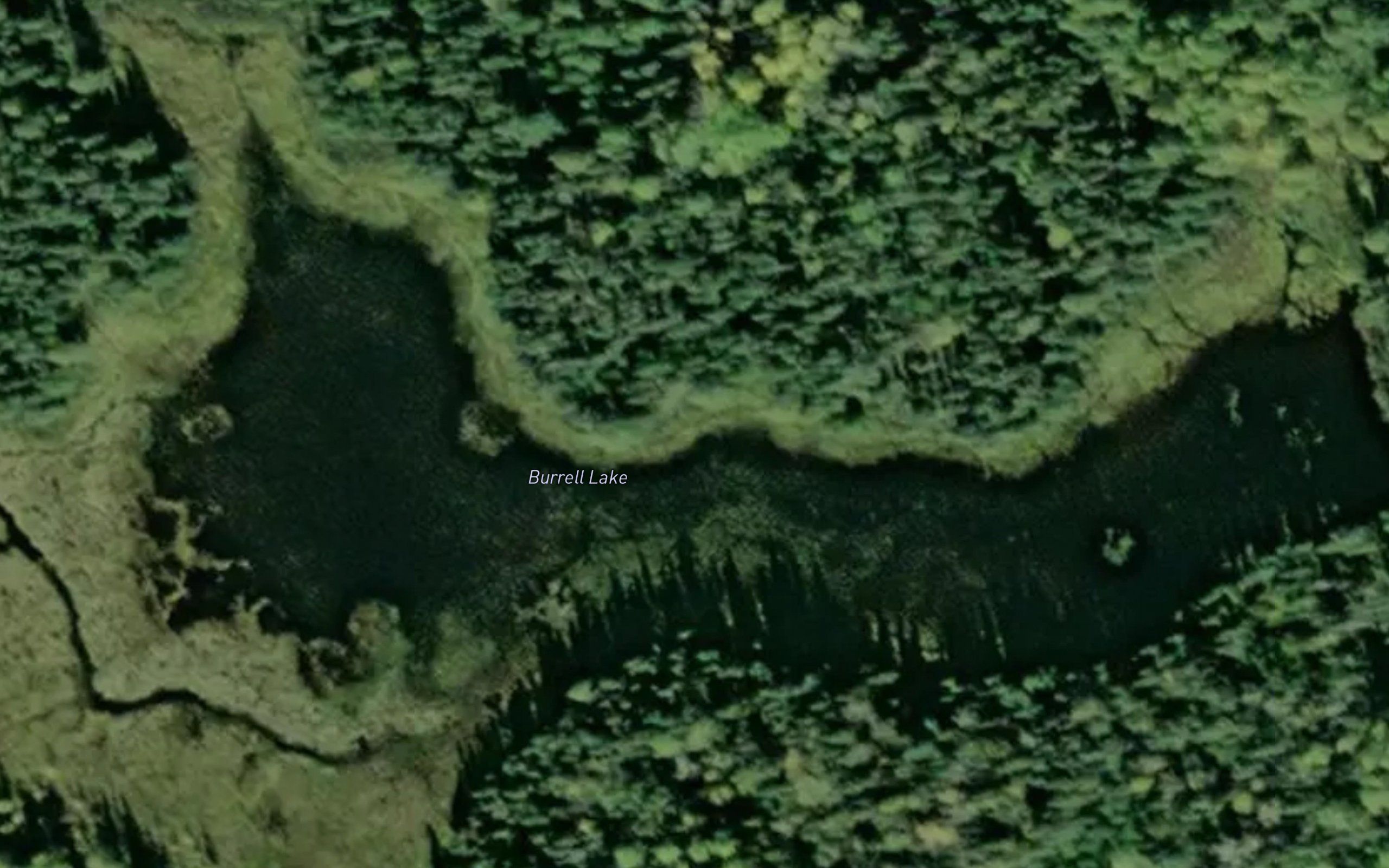 Burrell Lake