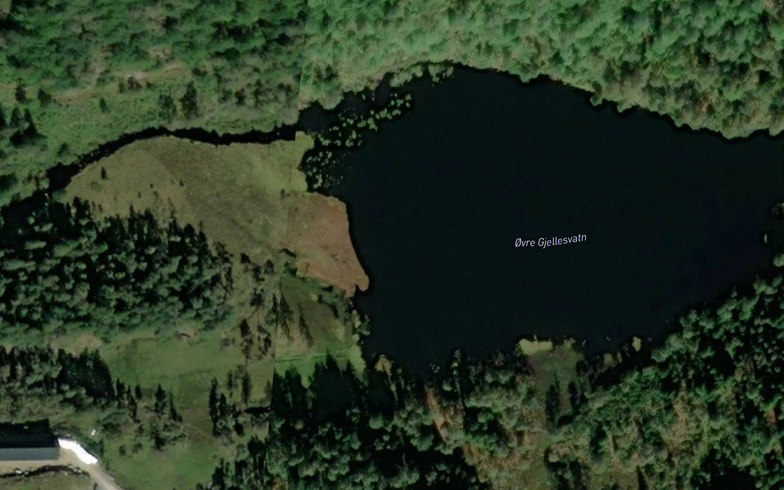 Ovre Gjellesvann