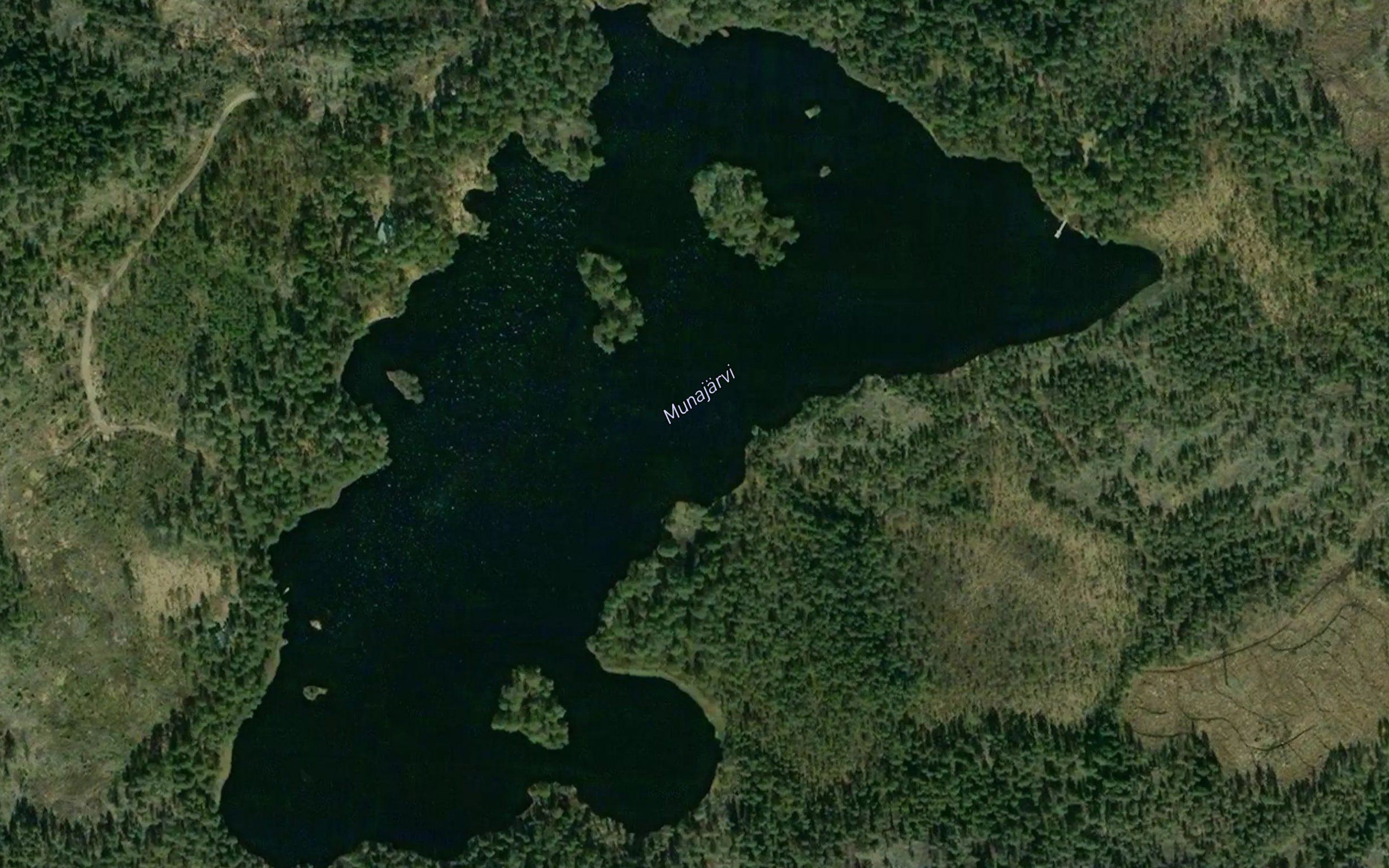 Munajarvi