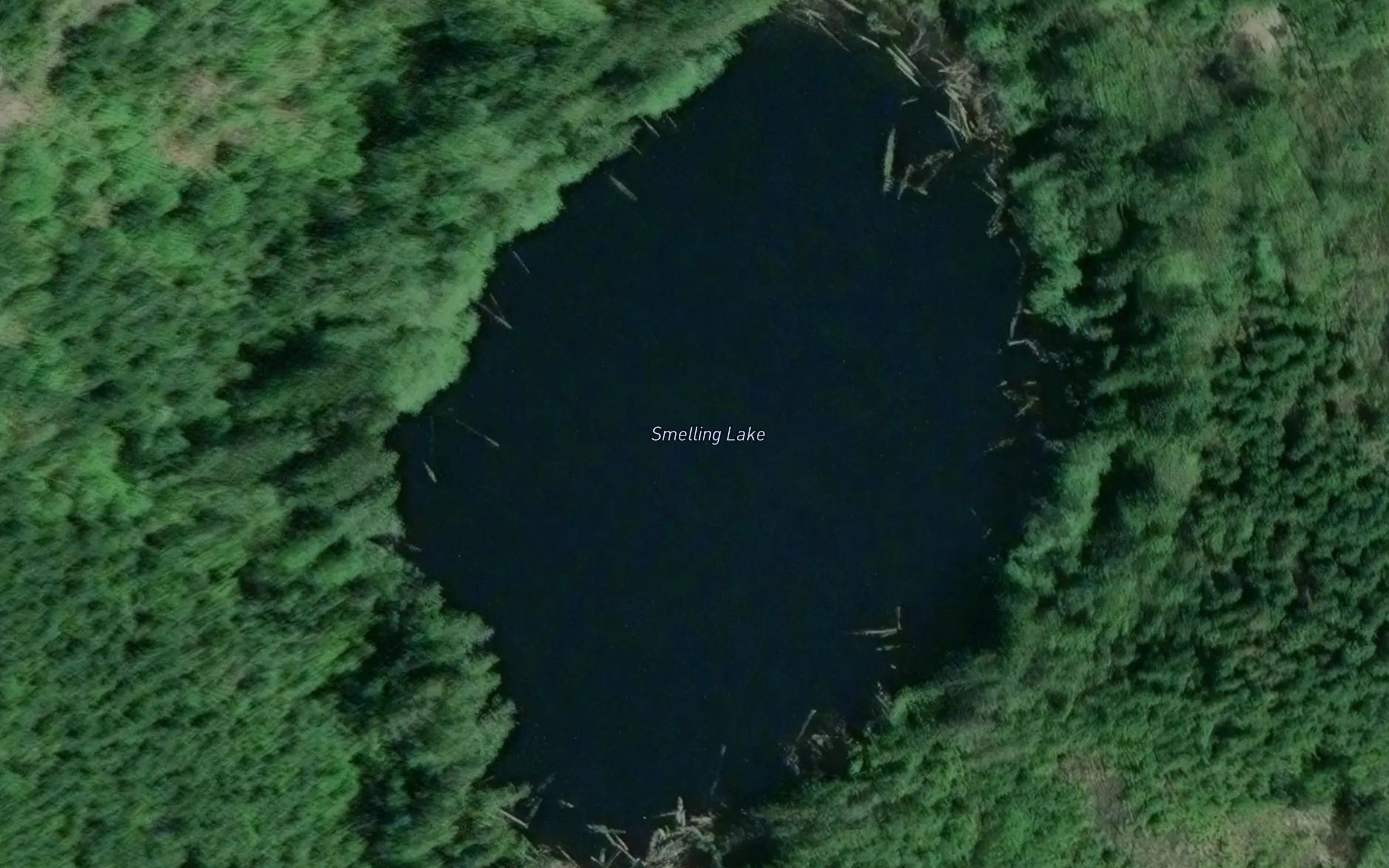 Smelling Lake
