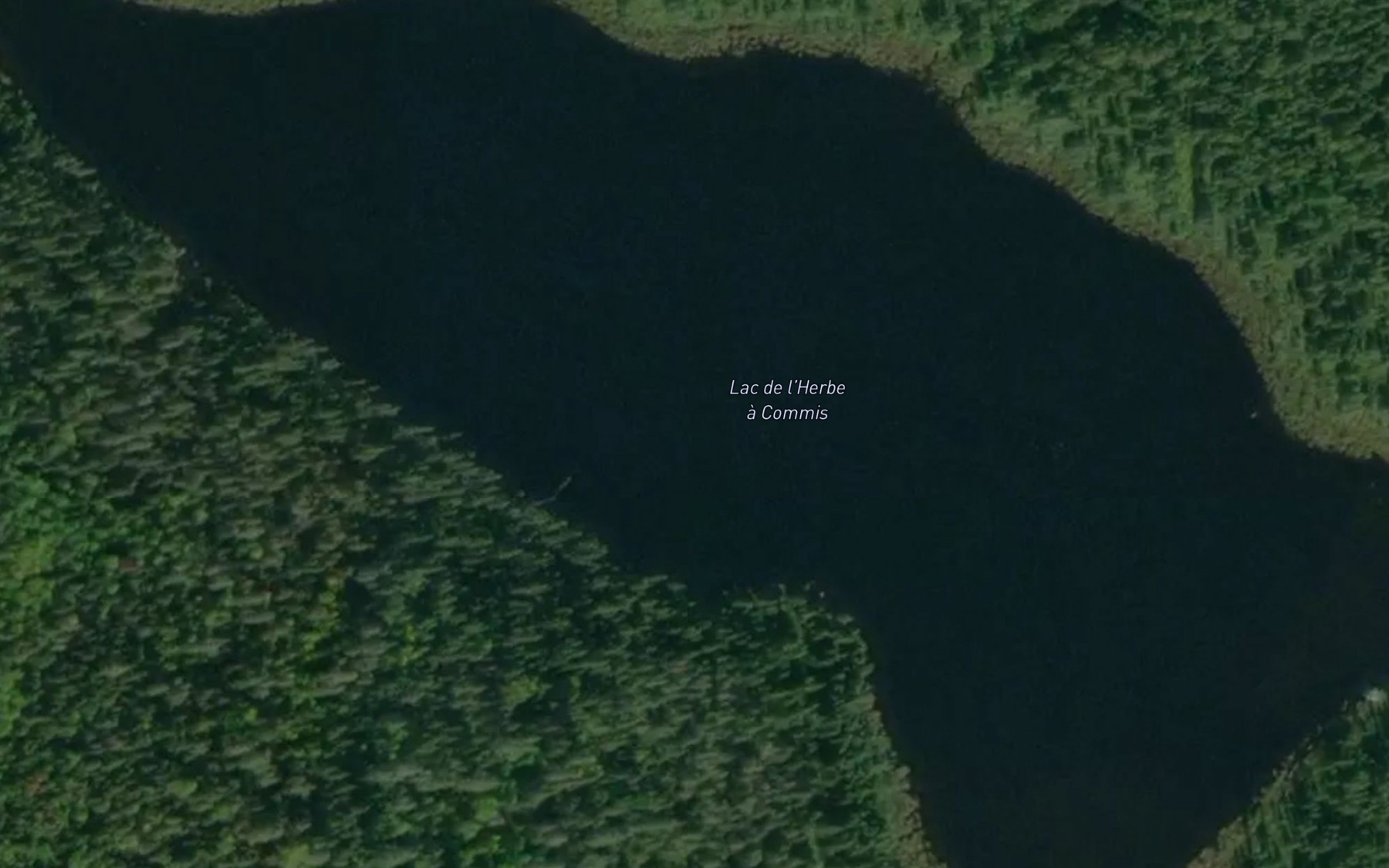 Satellite map of the Lac de l'Herbe a Commis