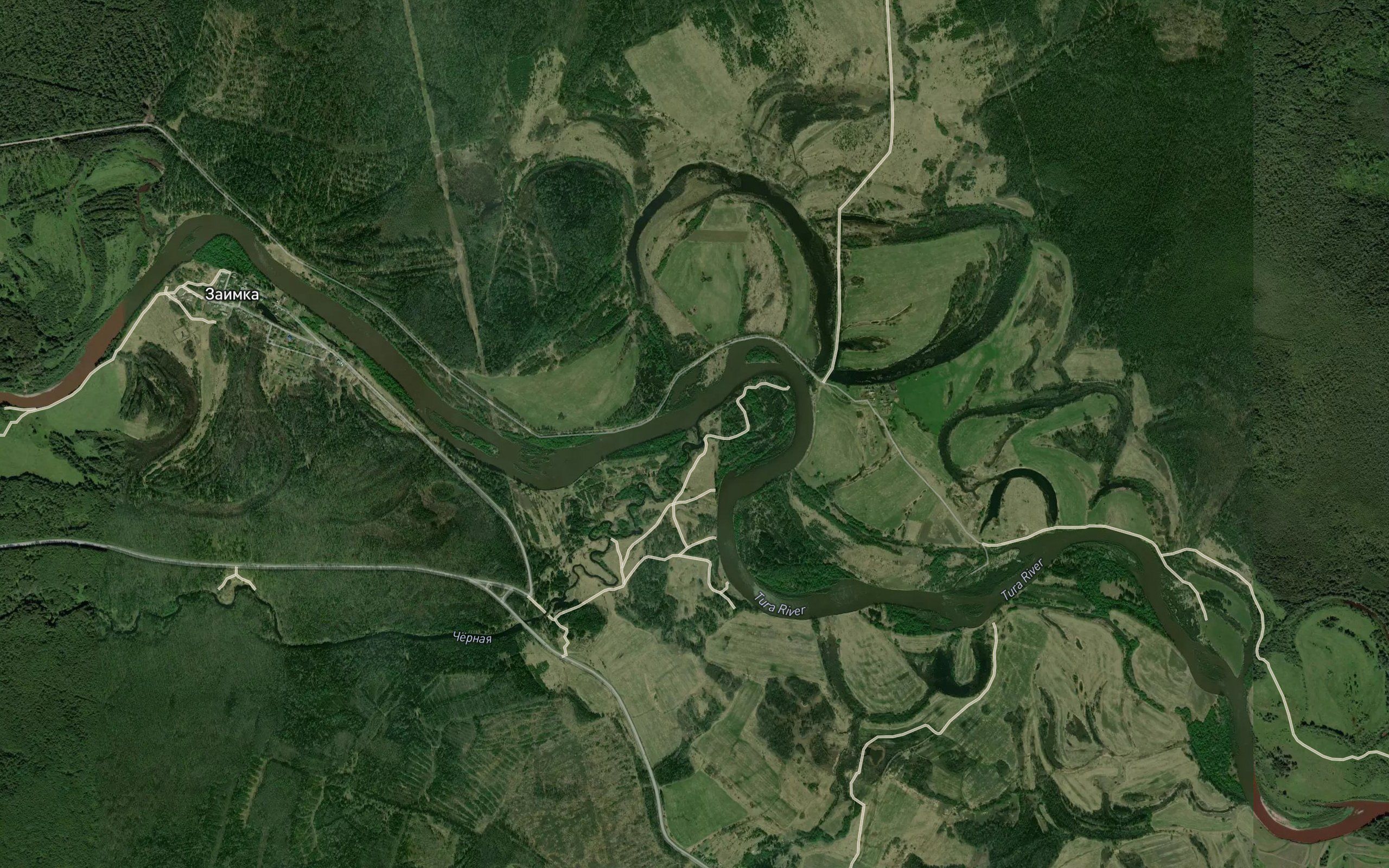 Chernaya