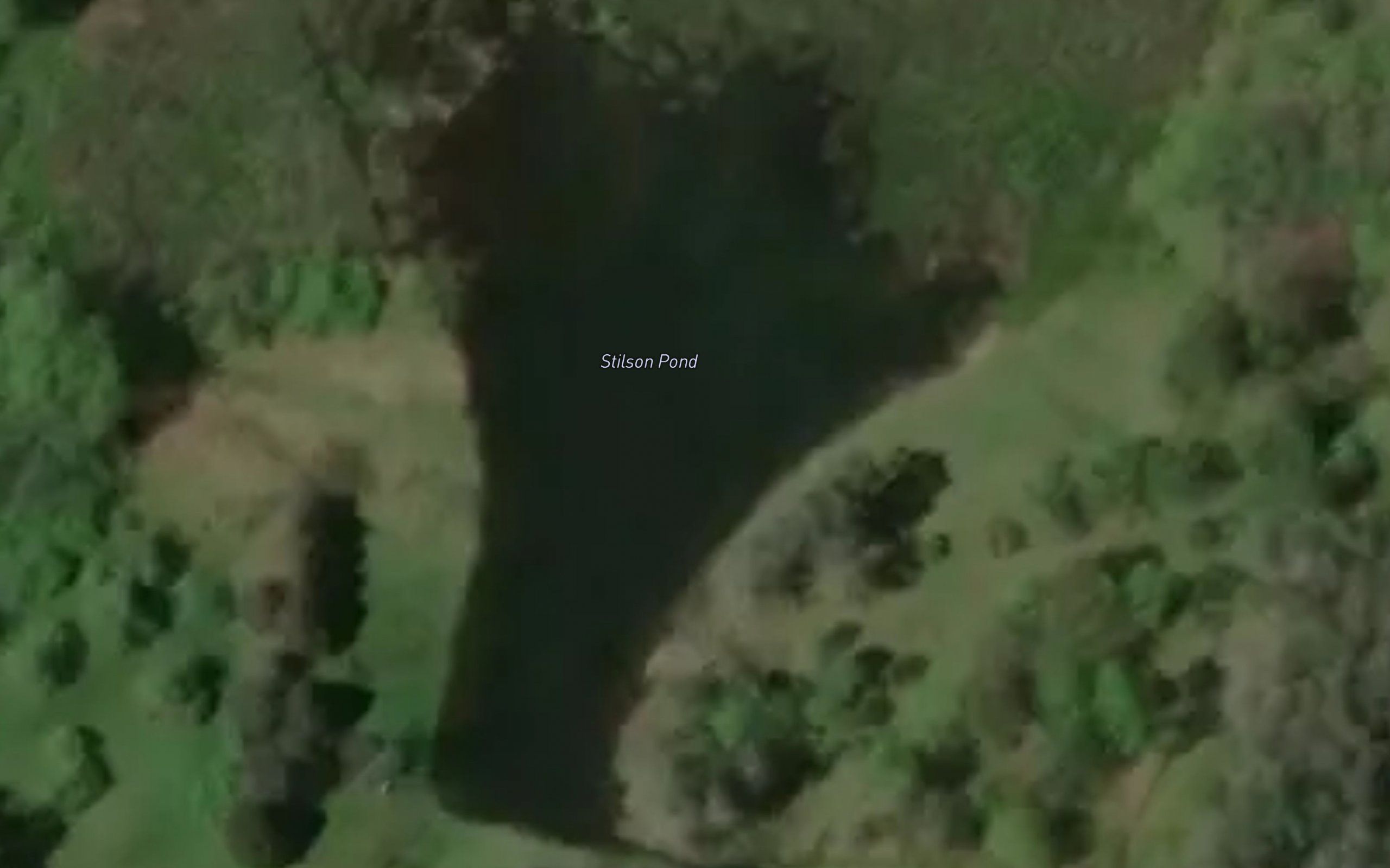 Stilson Pond