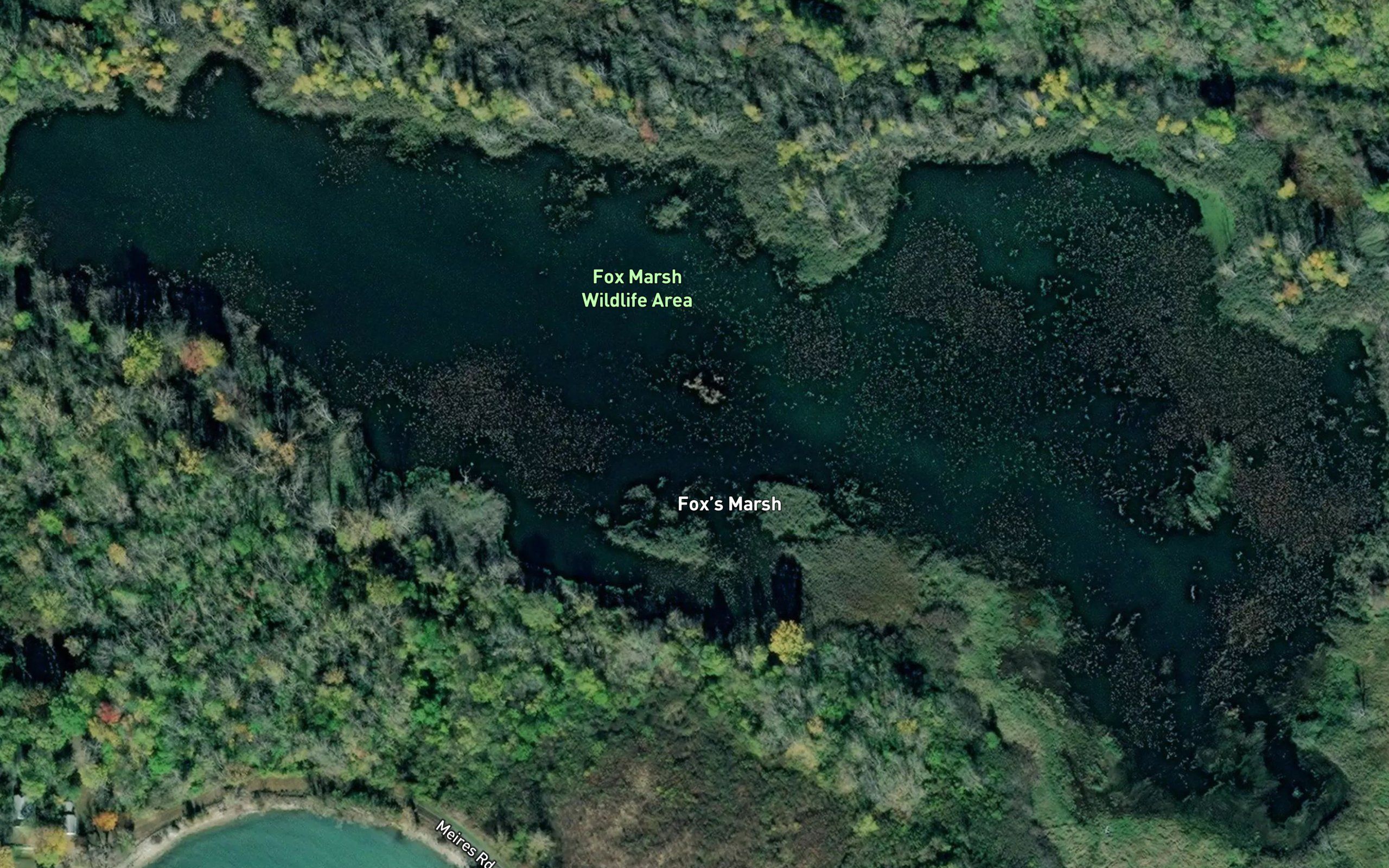 Foxs Pond