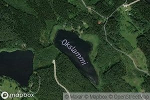 Okslammi