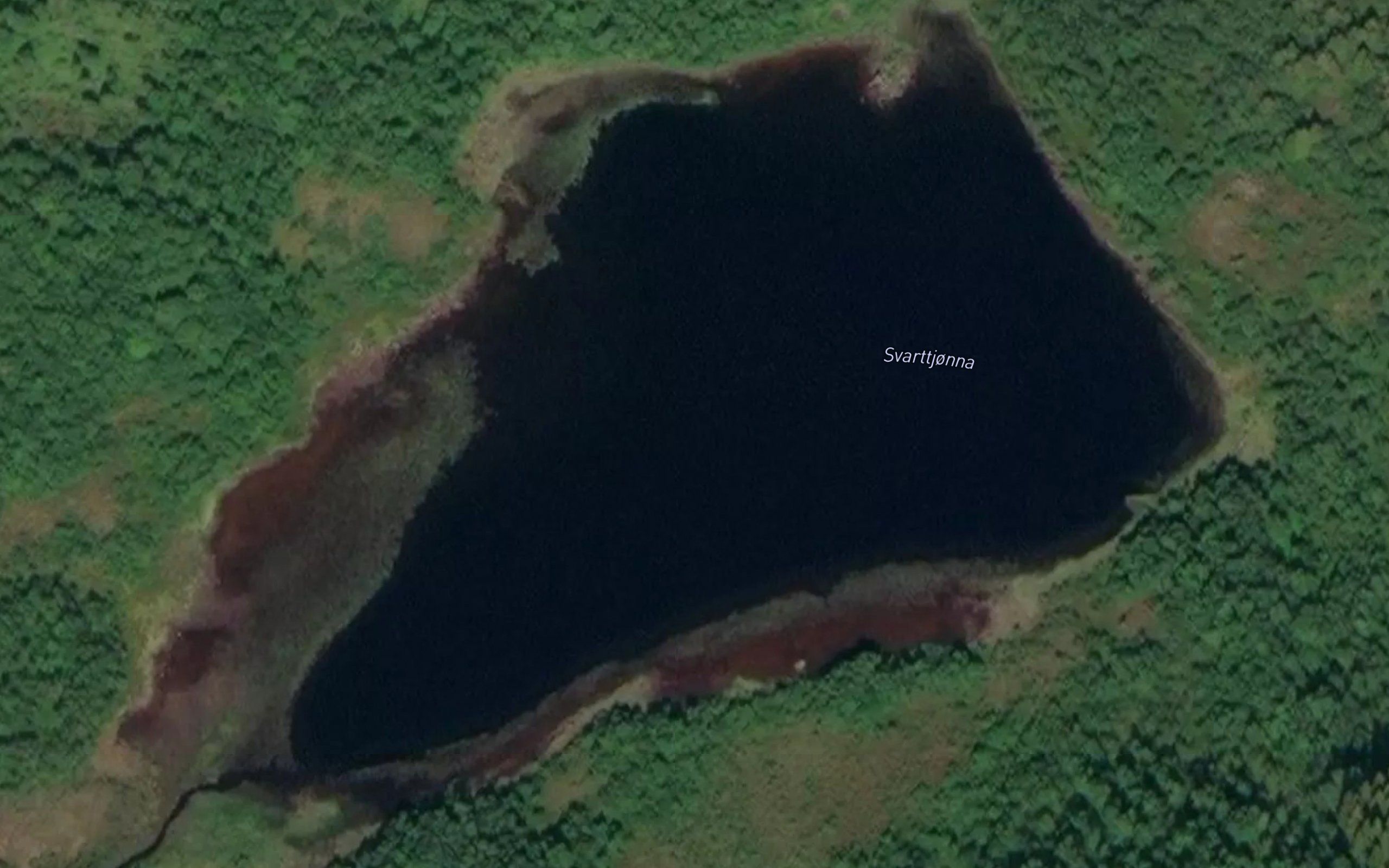 Svarttjorna