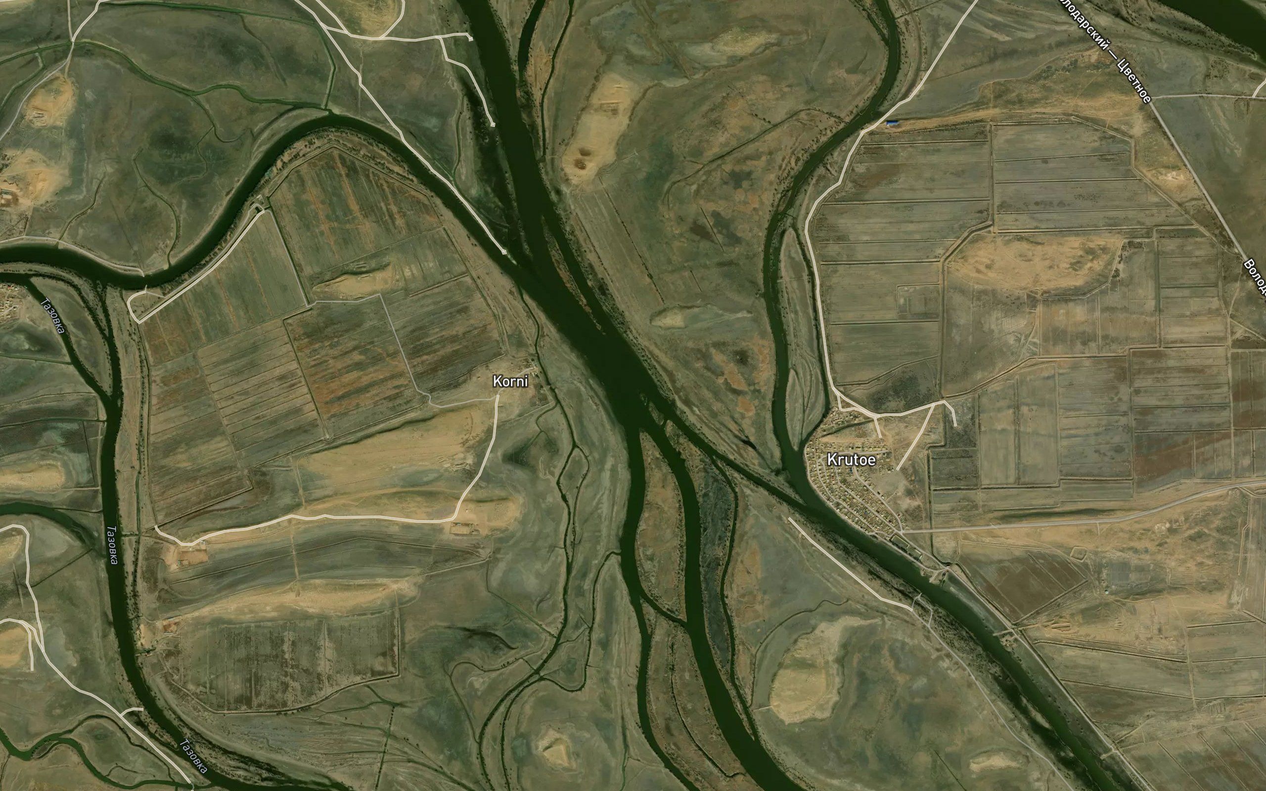 Kornevaya