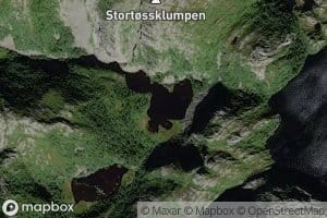 Eriklitjorna
