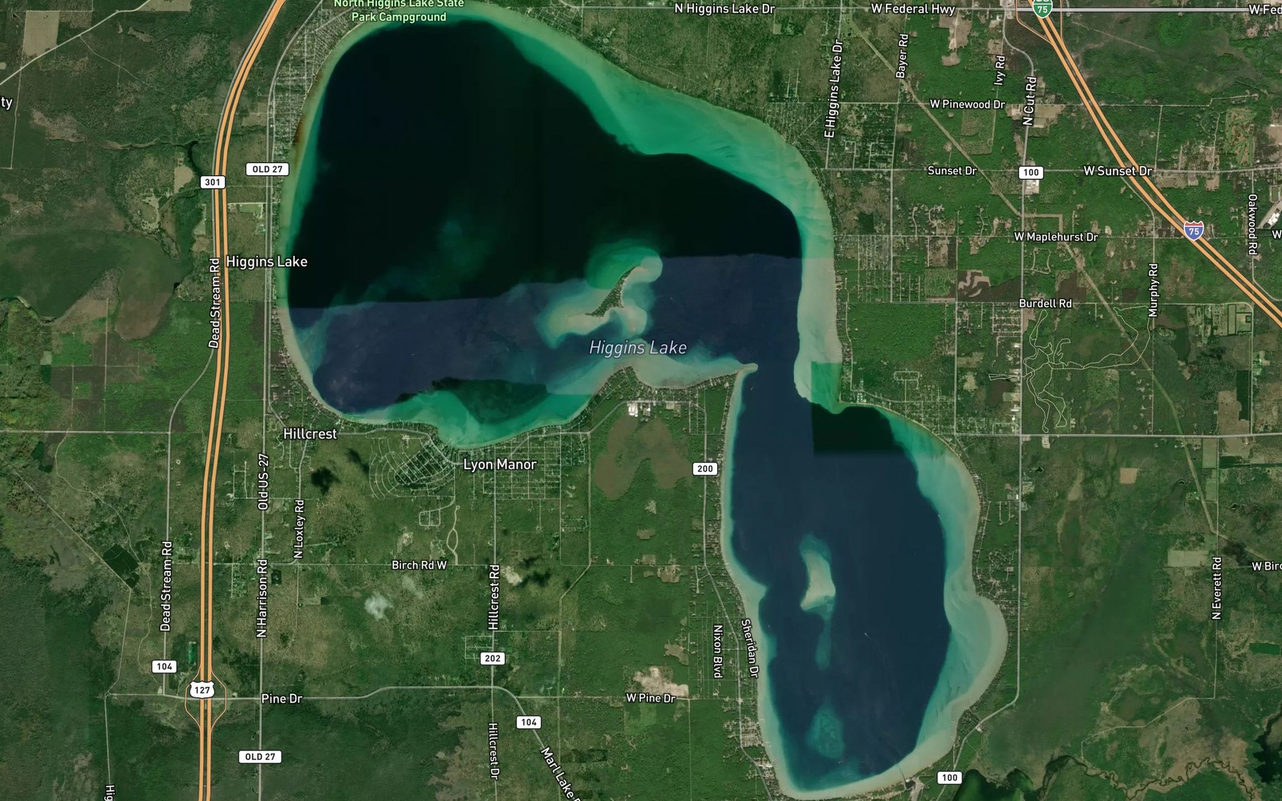 Satellite map of the Higgins Lake