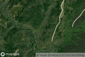 Thompson Spring Branch