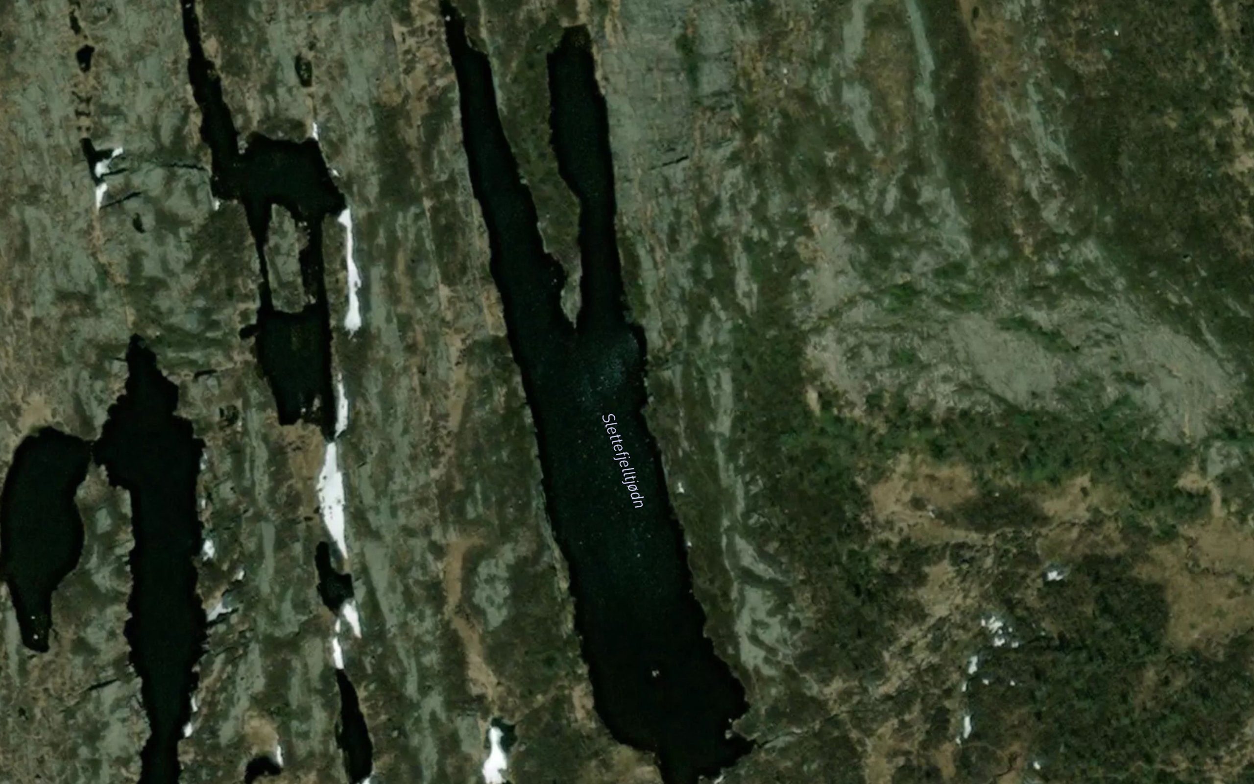 Slettefjelltjodn