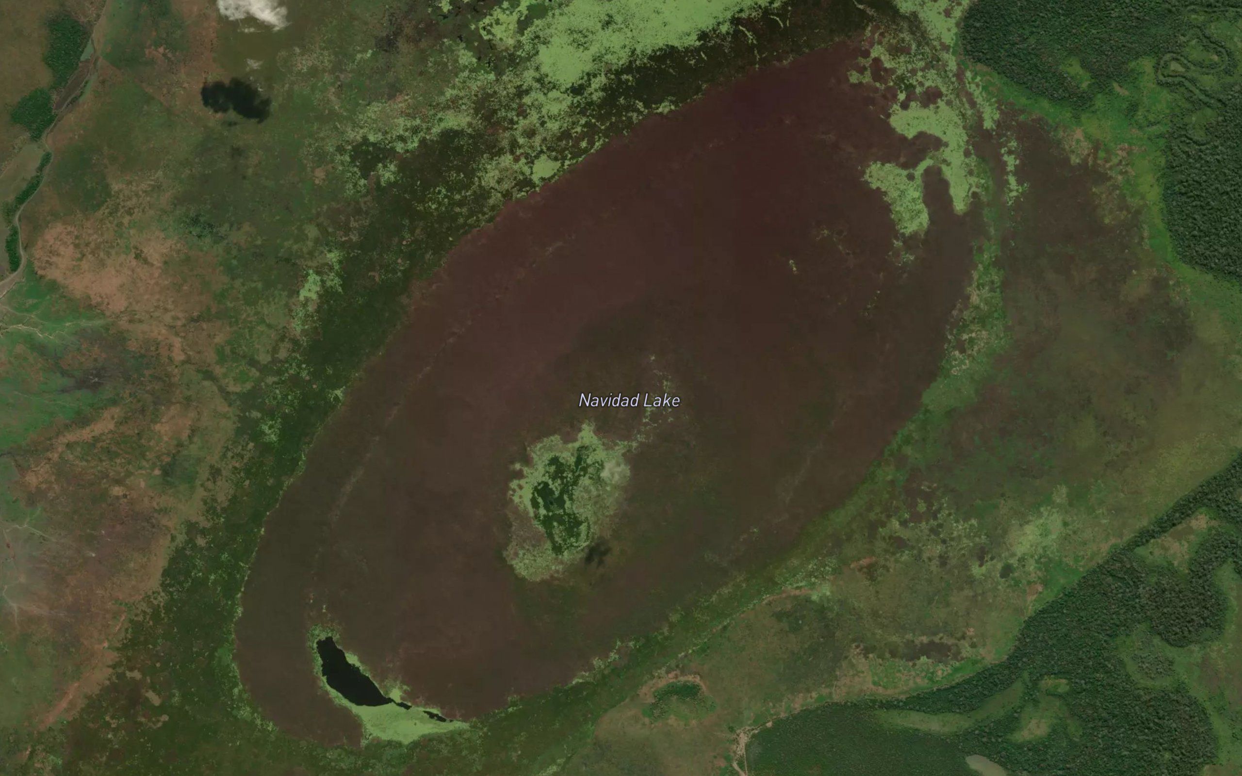 Navidad Lake