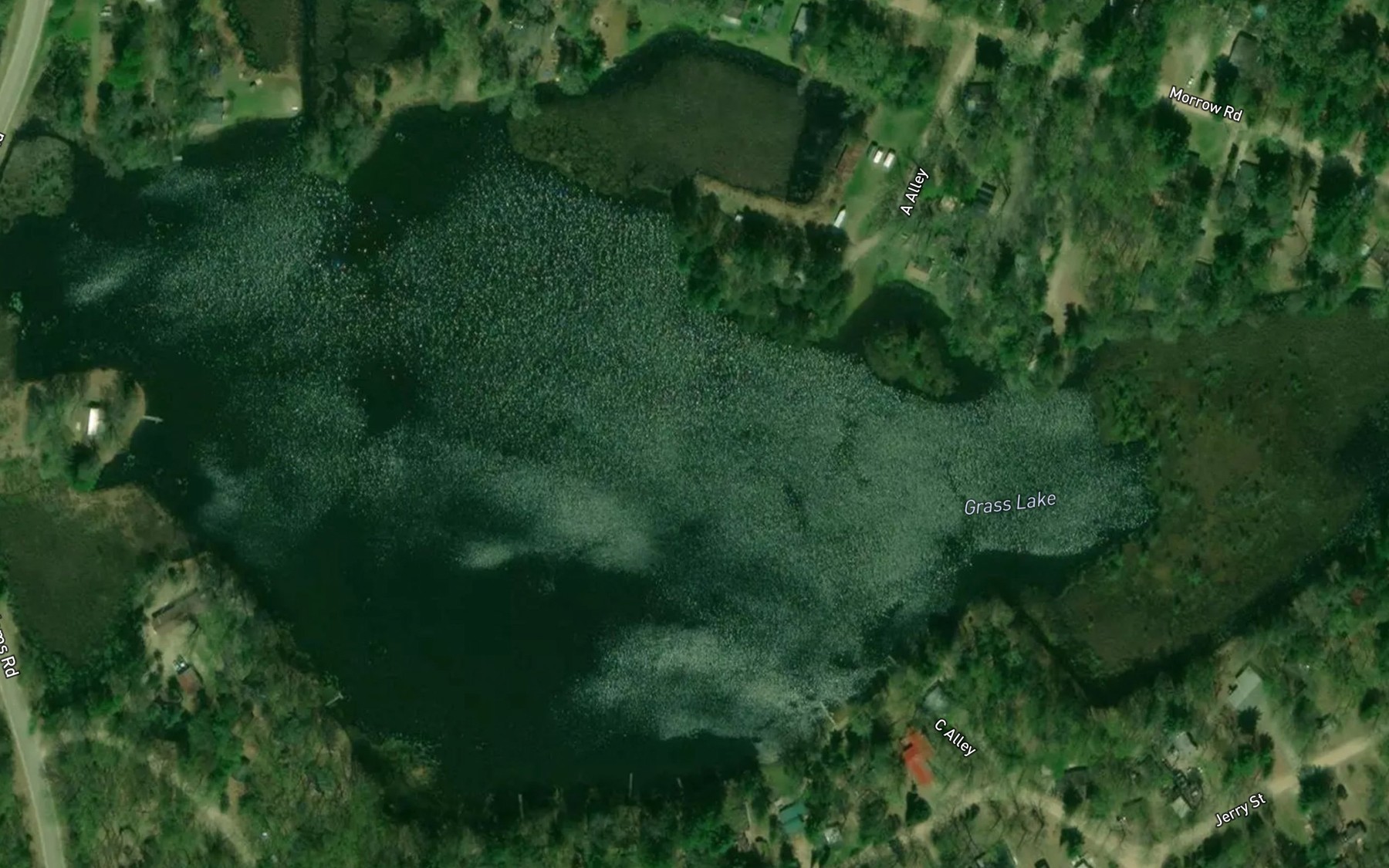 Satellite map of the Grass Lake