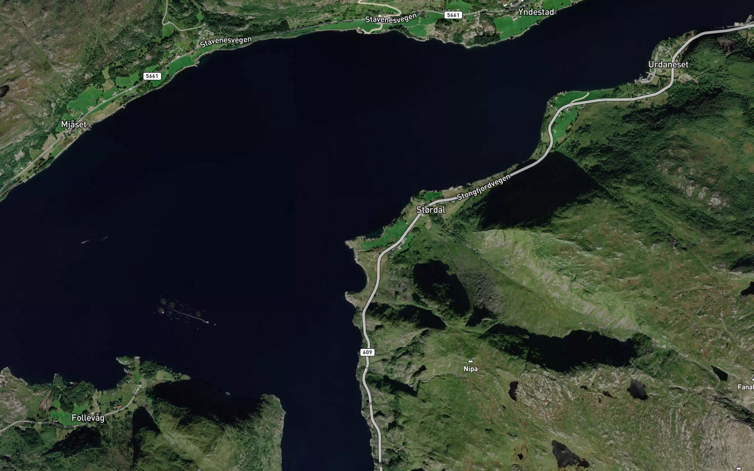 Skjevika