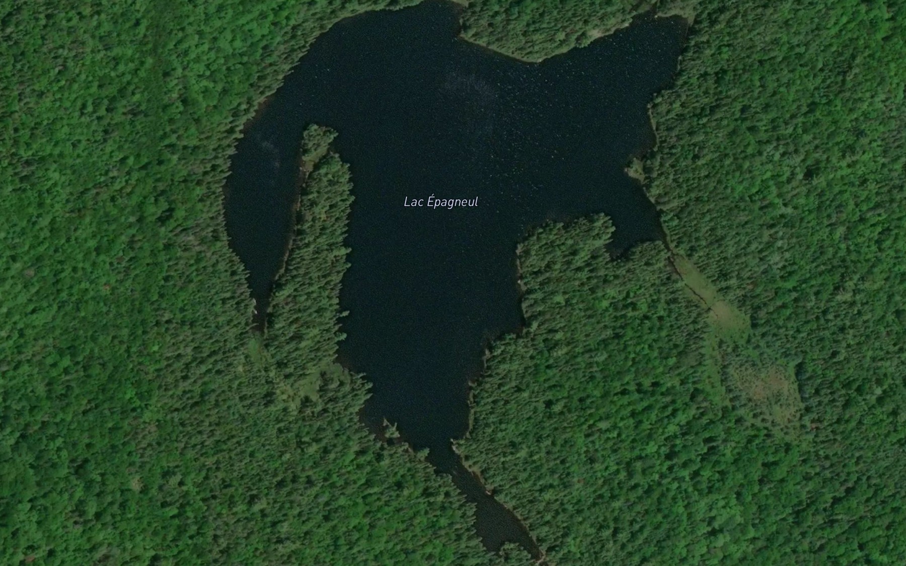 Satellite map of the Lac Epagneul