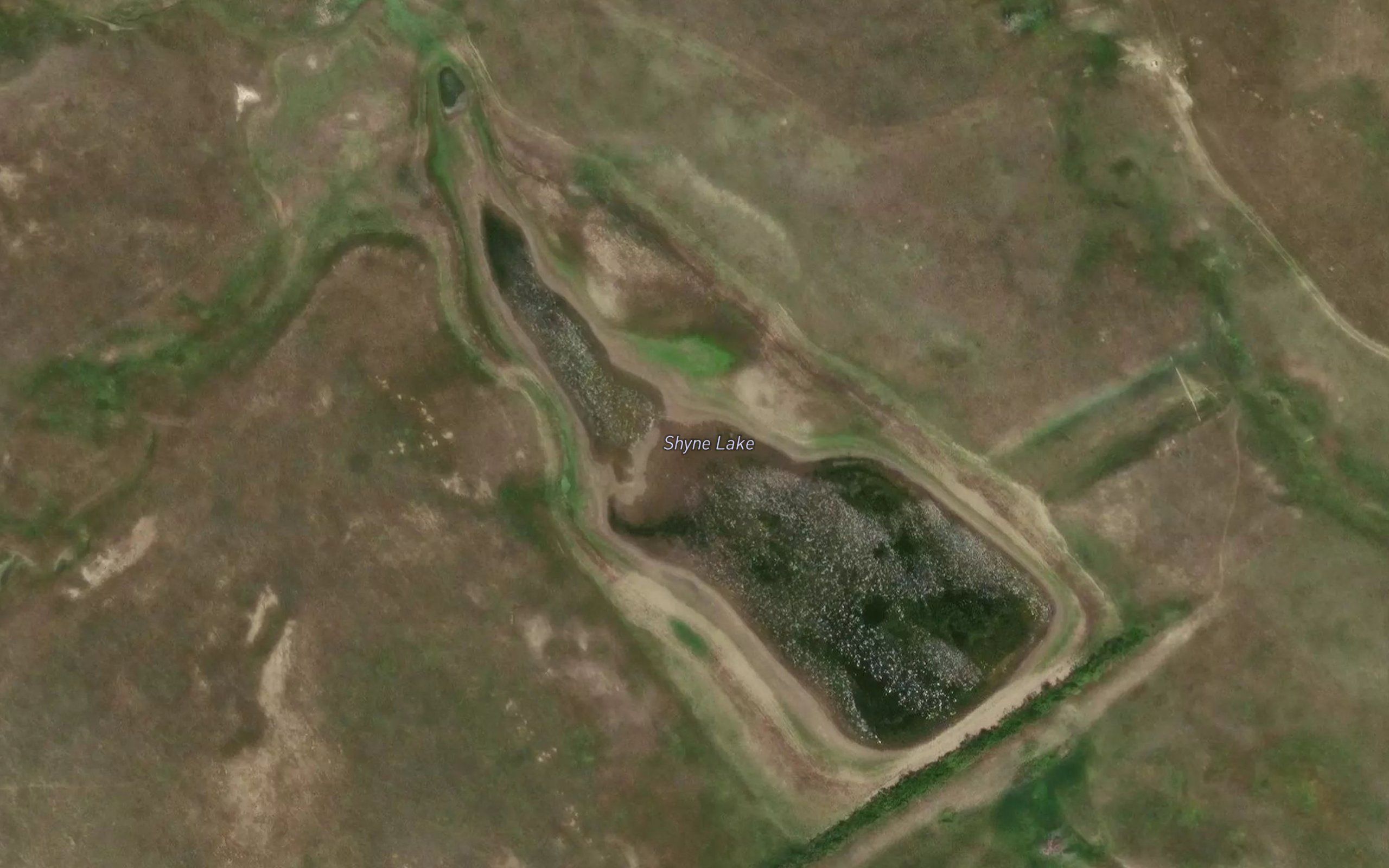 Shyne Lake