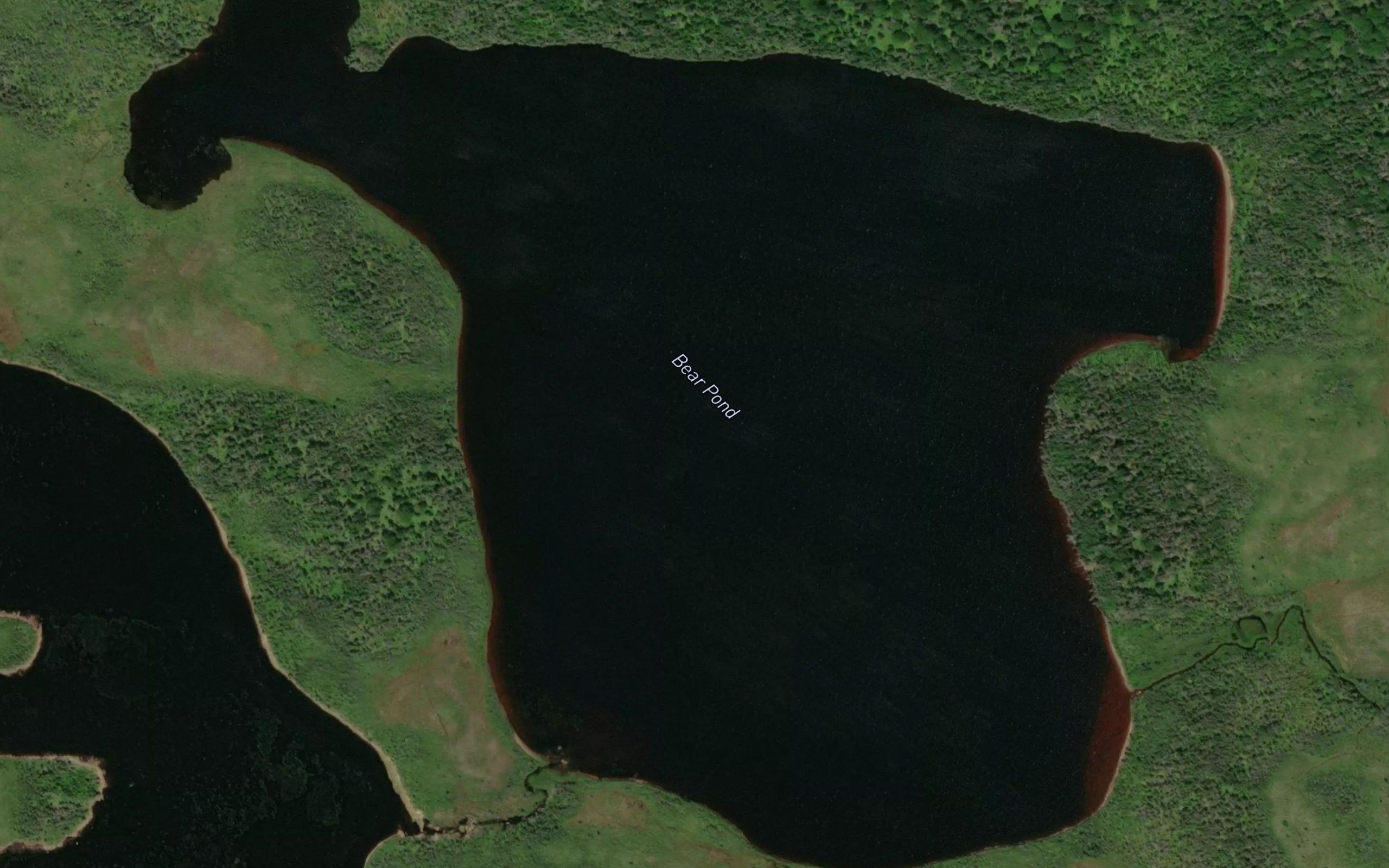 Bear Pond