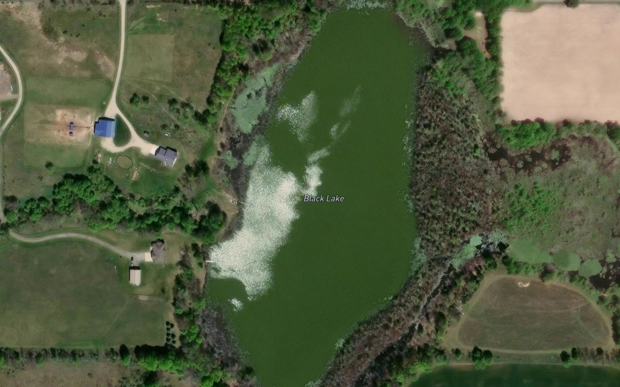 Black Lake