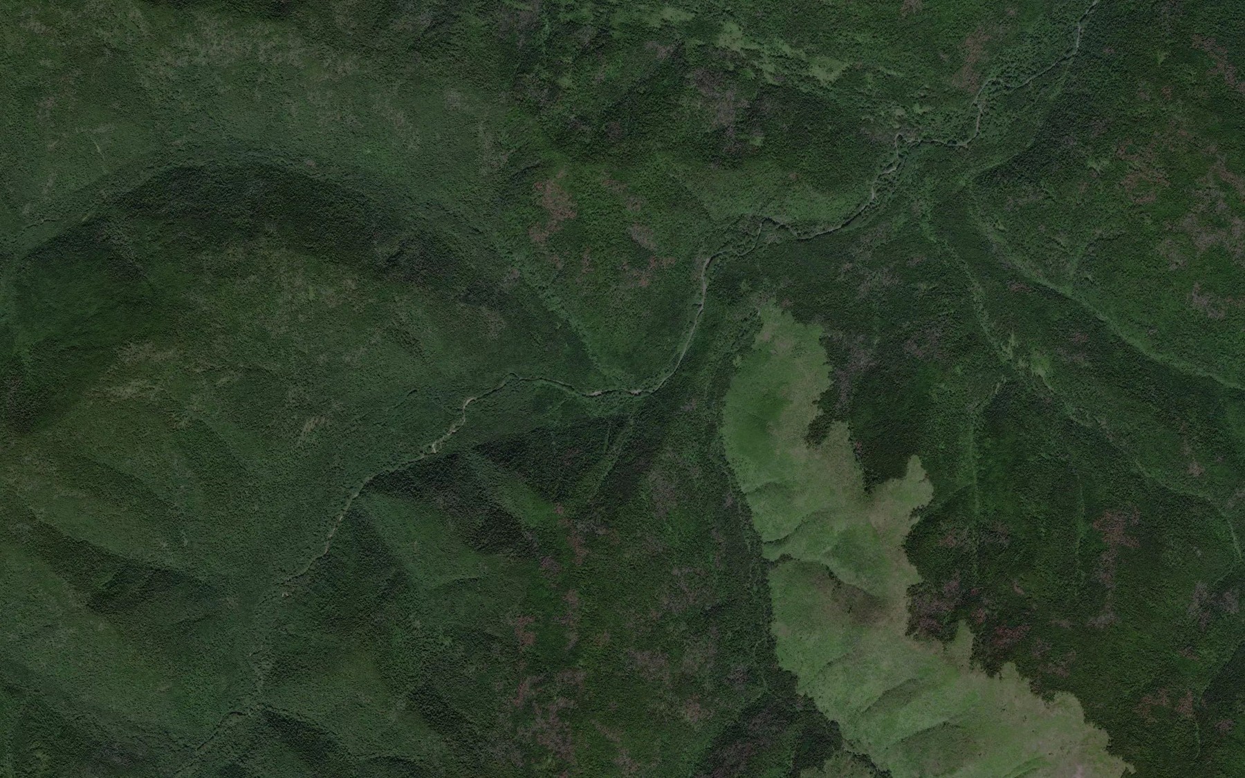 Satellite map of the Stlanikovyy