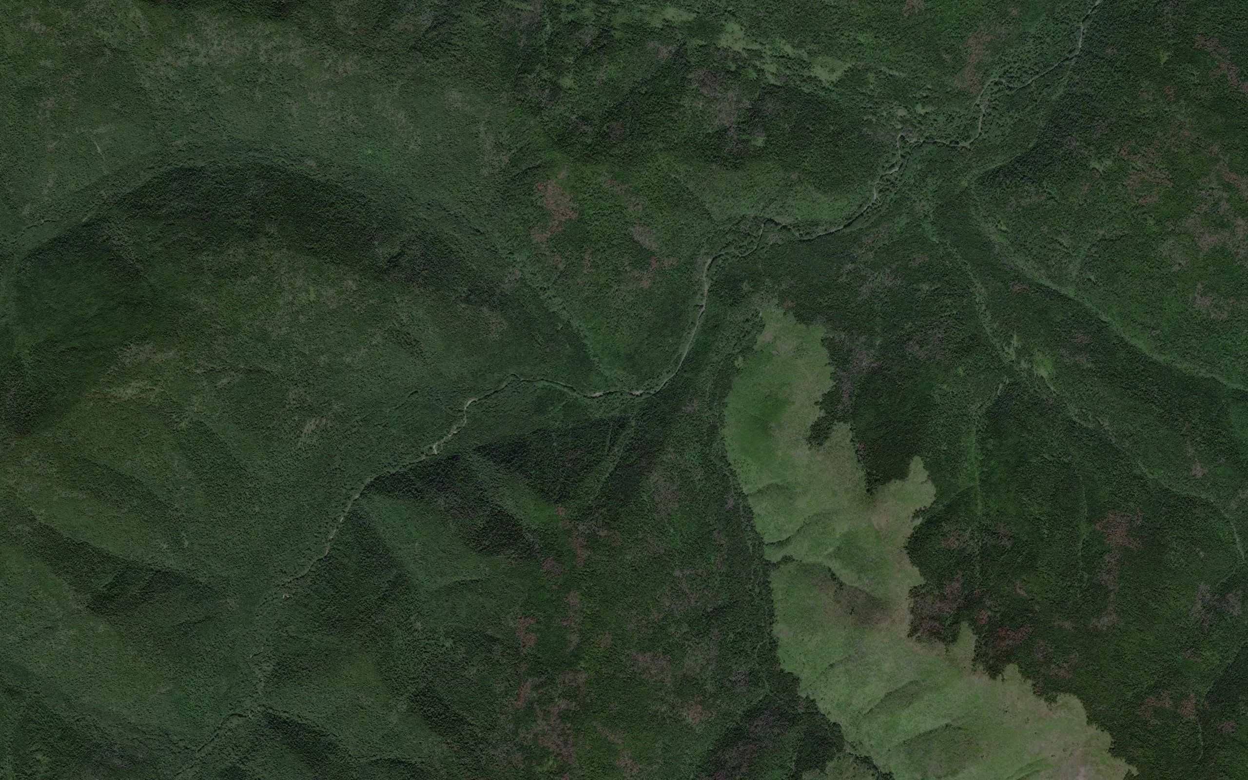 Stlanikovyy