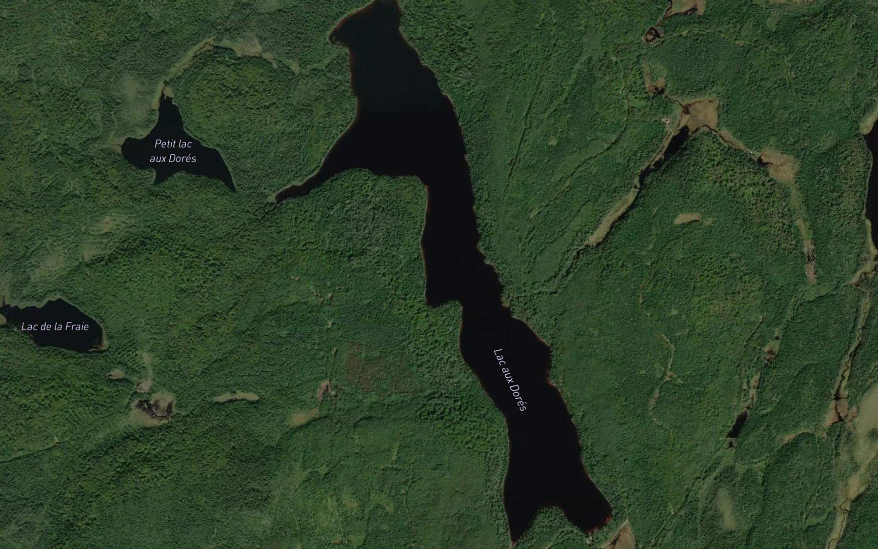 Satellite map of the Lac aux Dores
