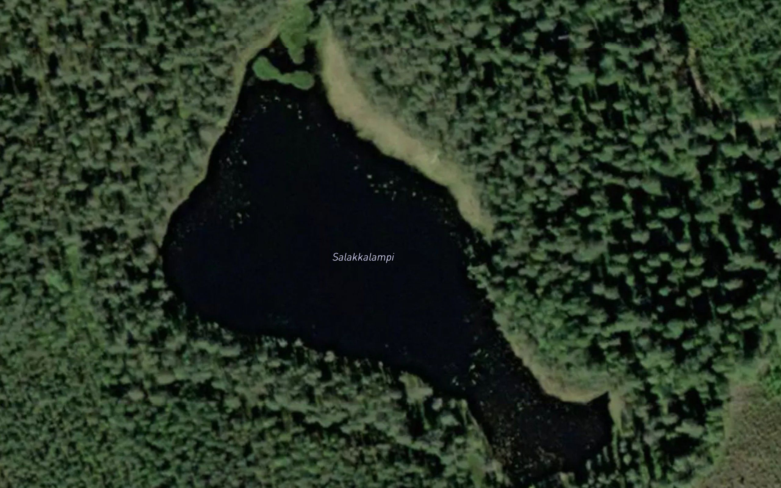 Salakkalampi