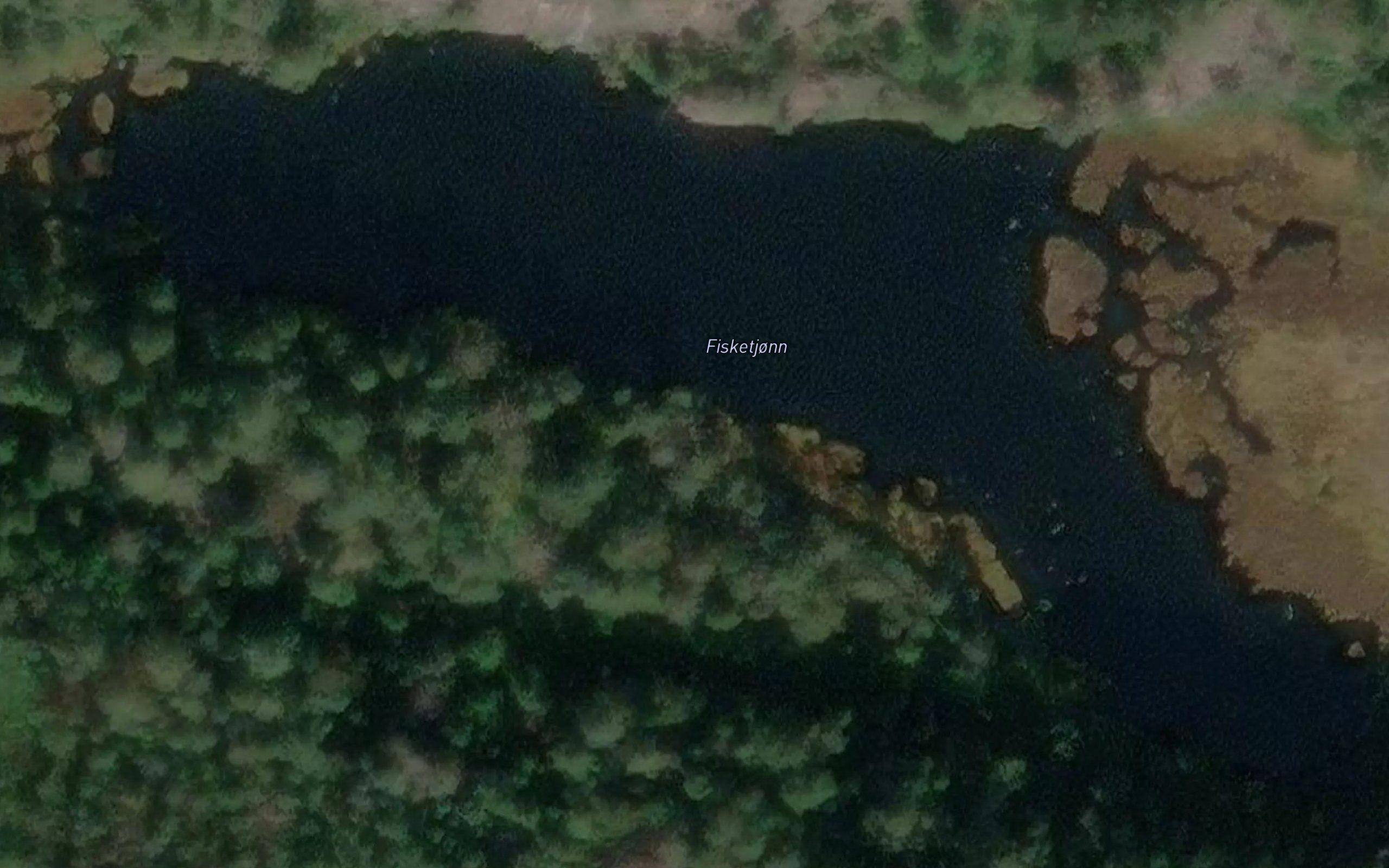 Fisketjonn