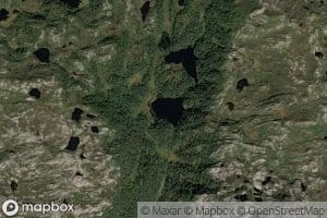 Sore Svartebotstjorna