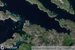 Grisevika