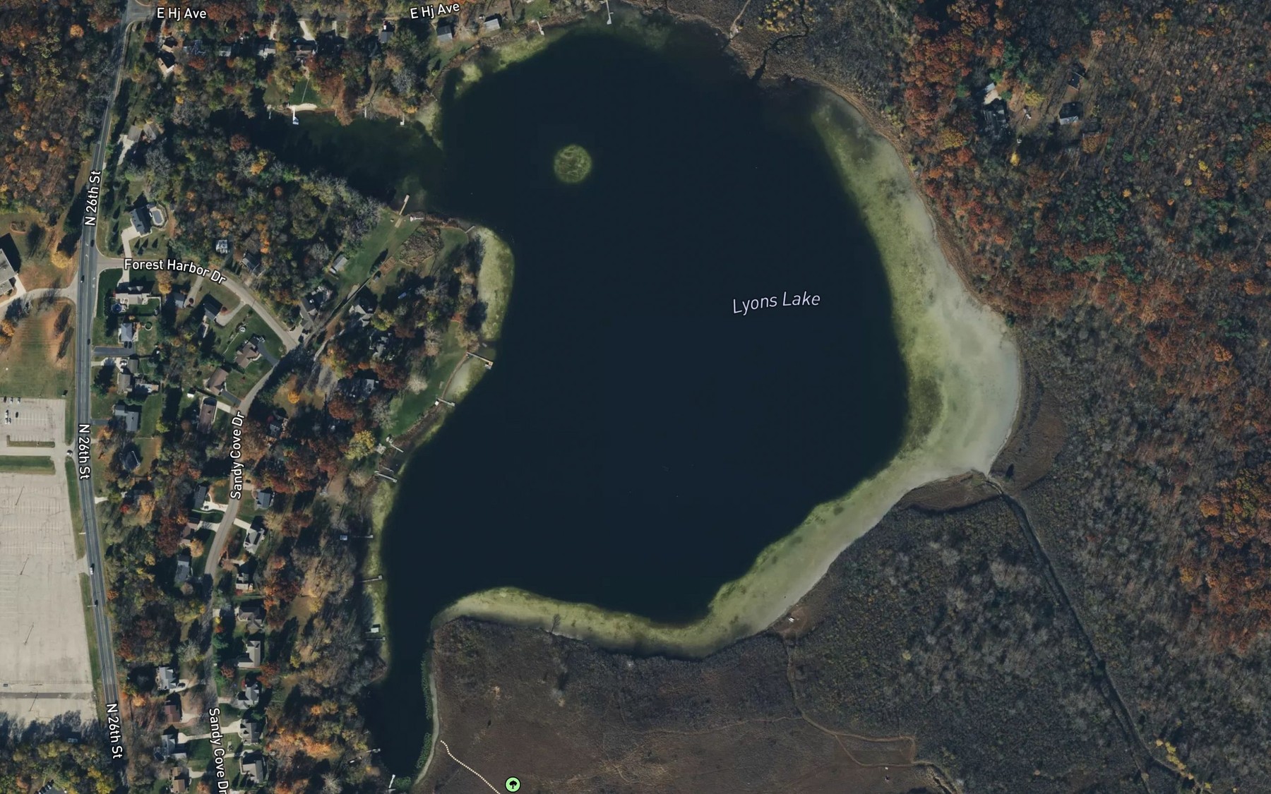 Satellite map of the Lyons Lake