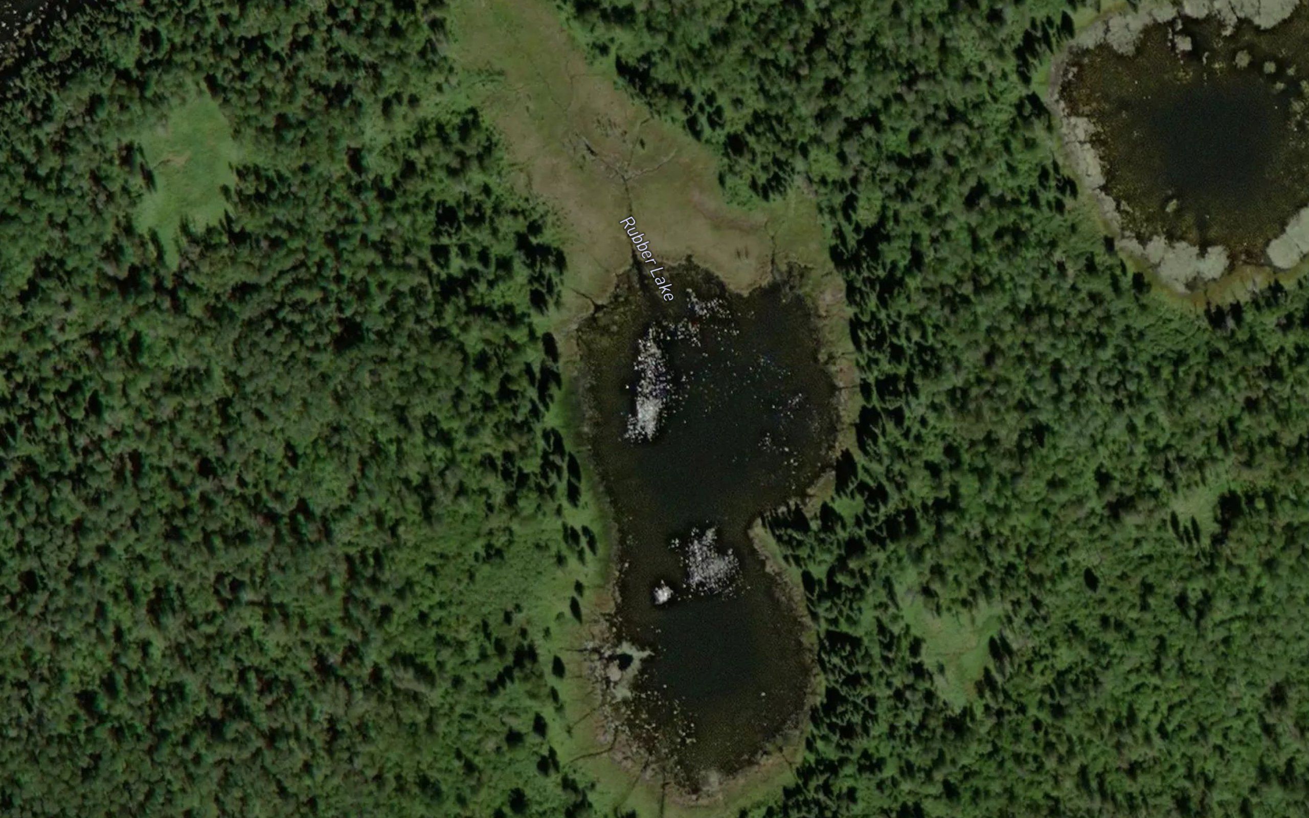 Rubber Lake