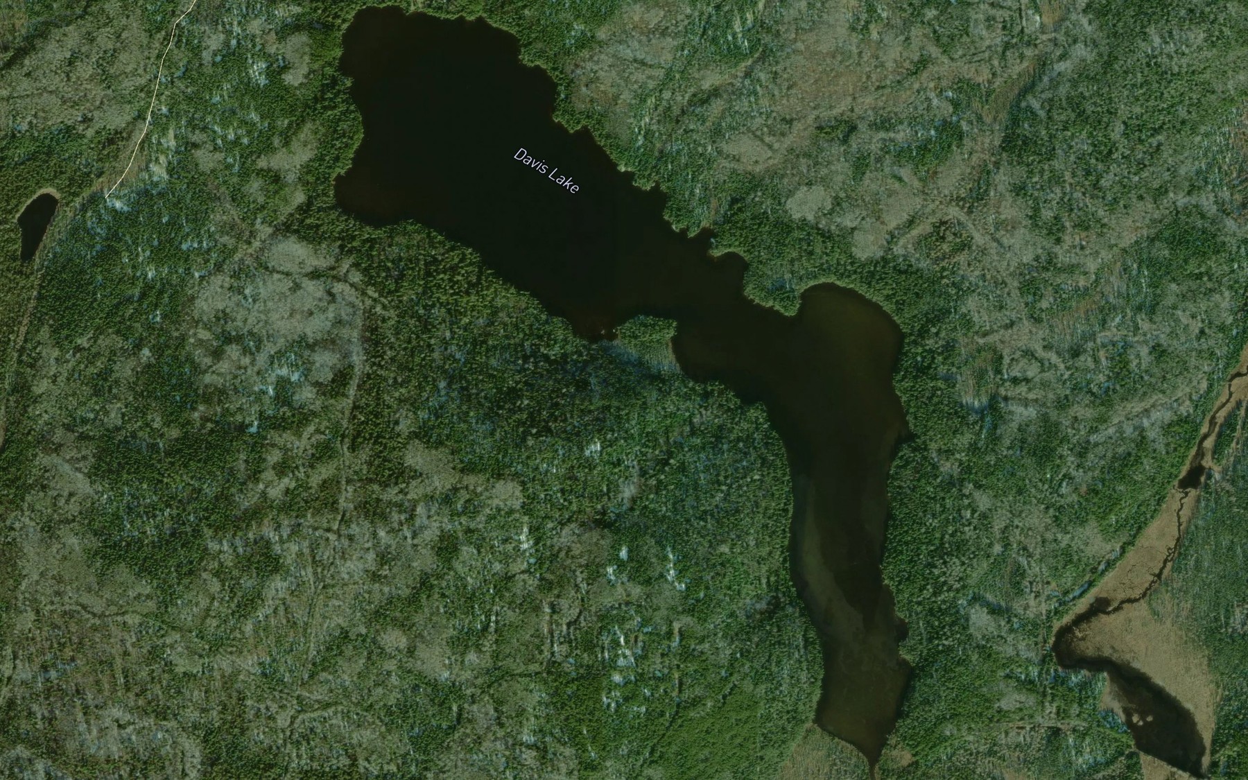 Satellite map of the Davis Lake