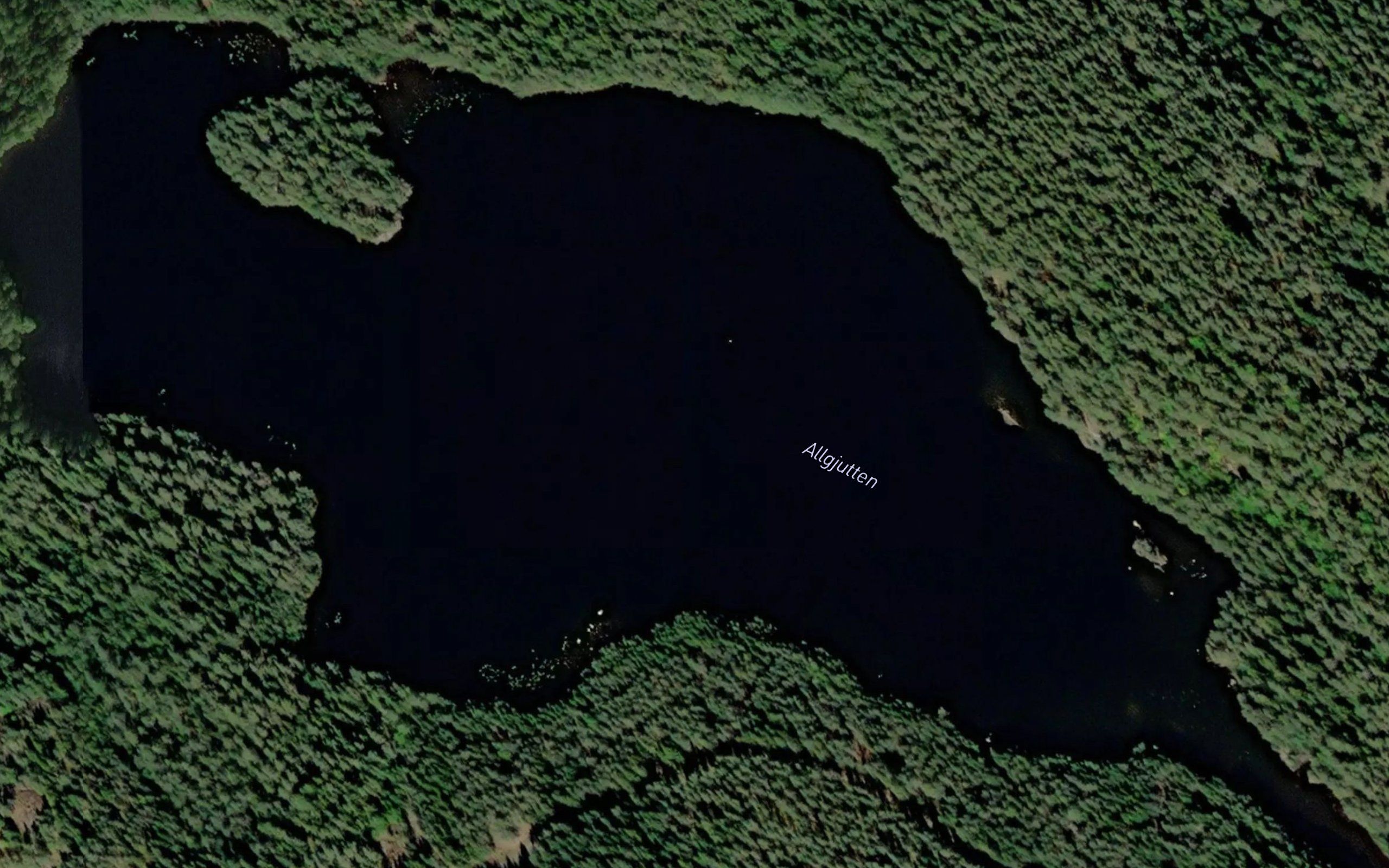 Allgjutten