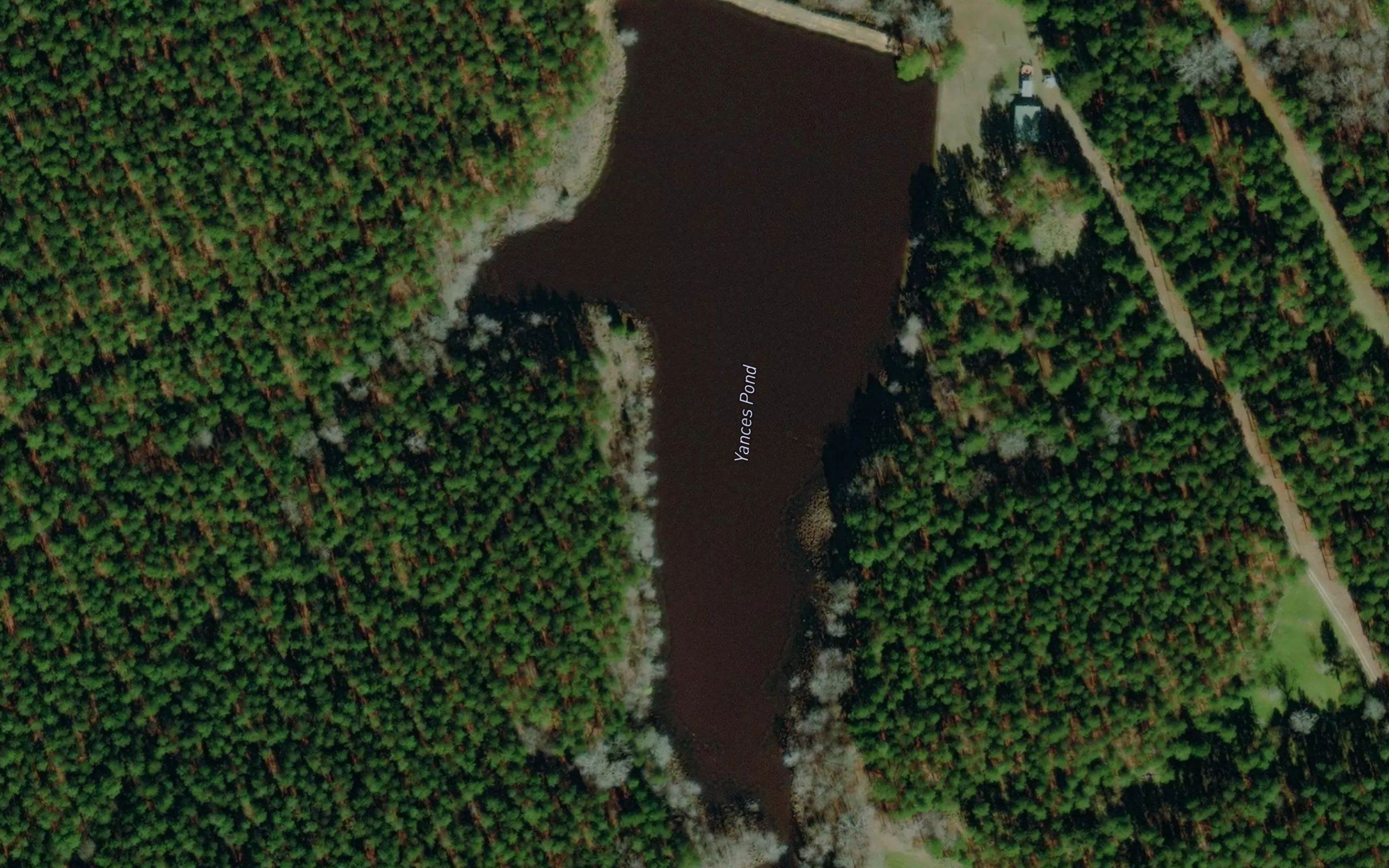 Yances Pond