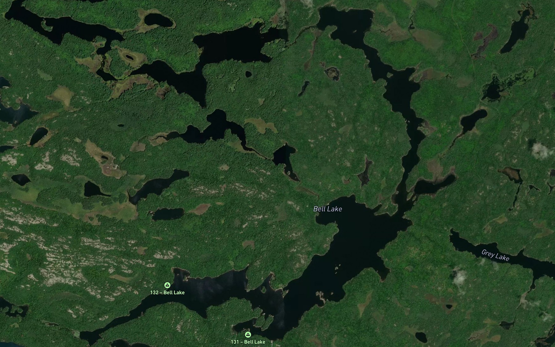 Satellite map of the Bell Lake