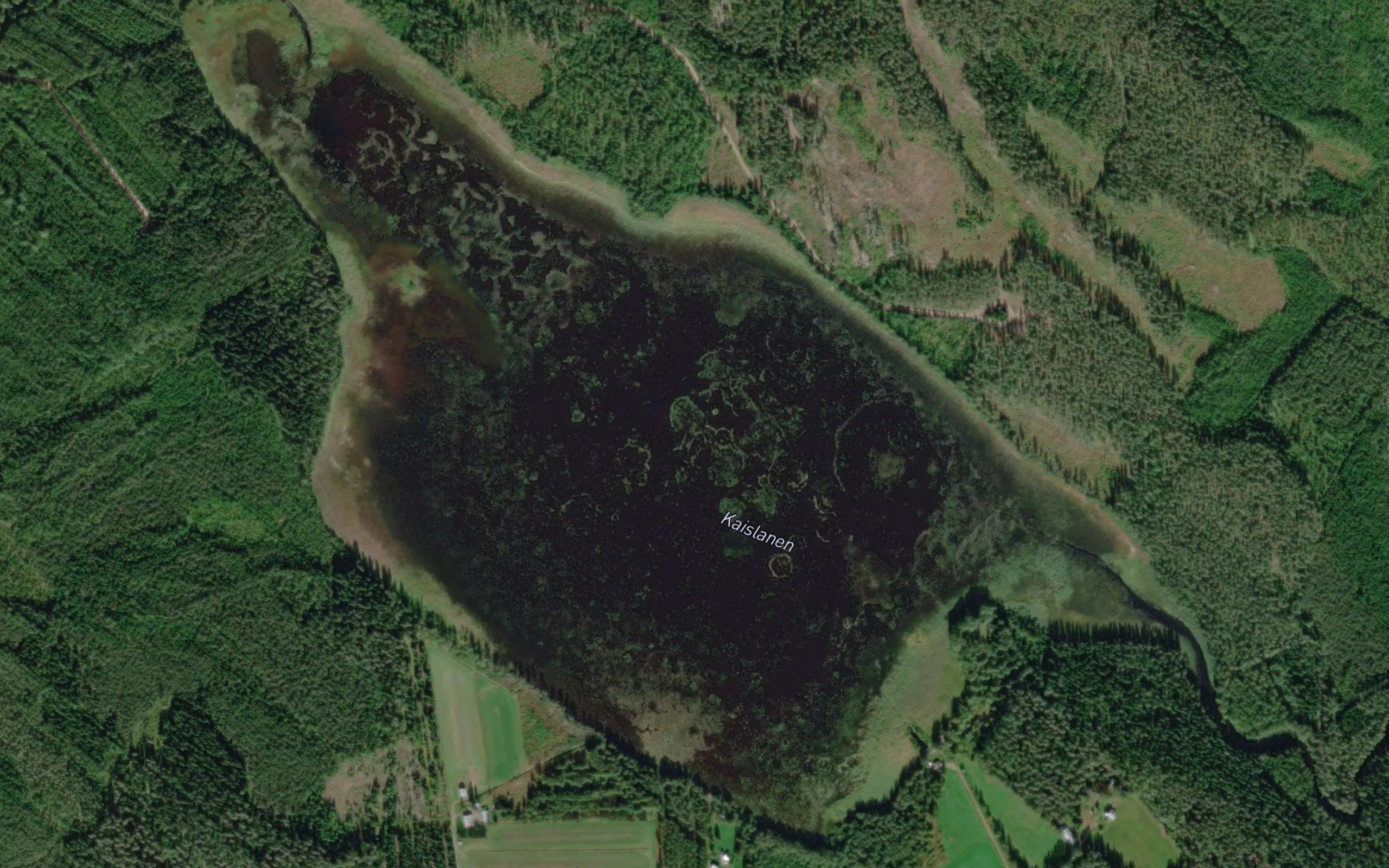 Kaislanen