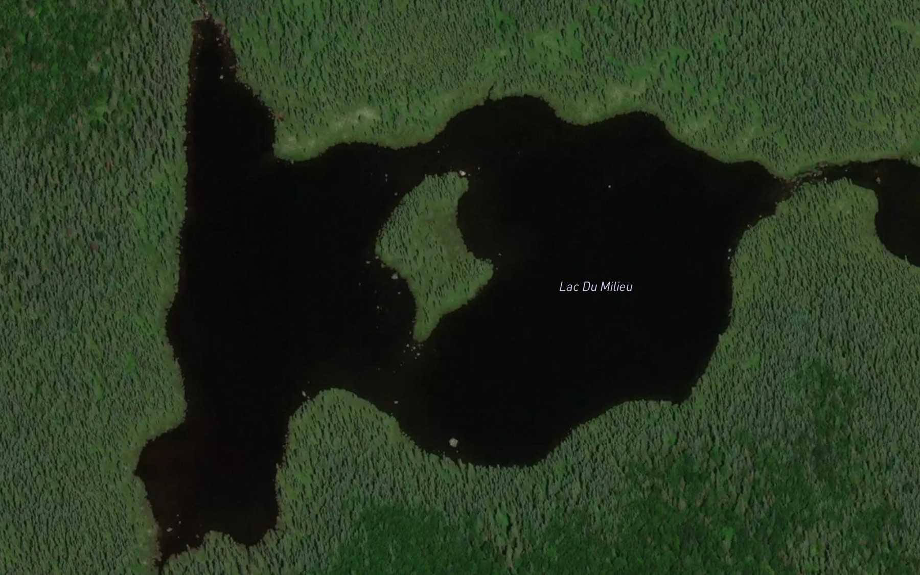 Satellite map of the Lac du Milieu