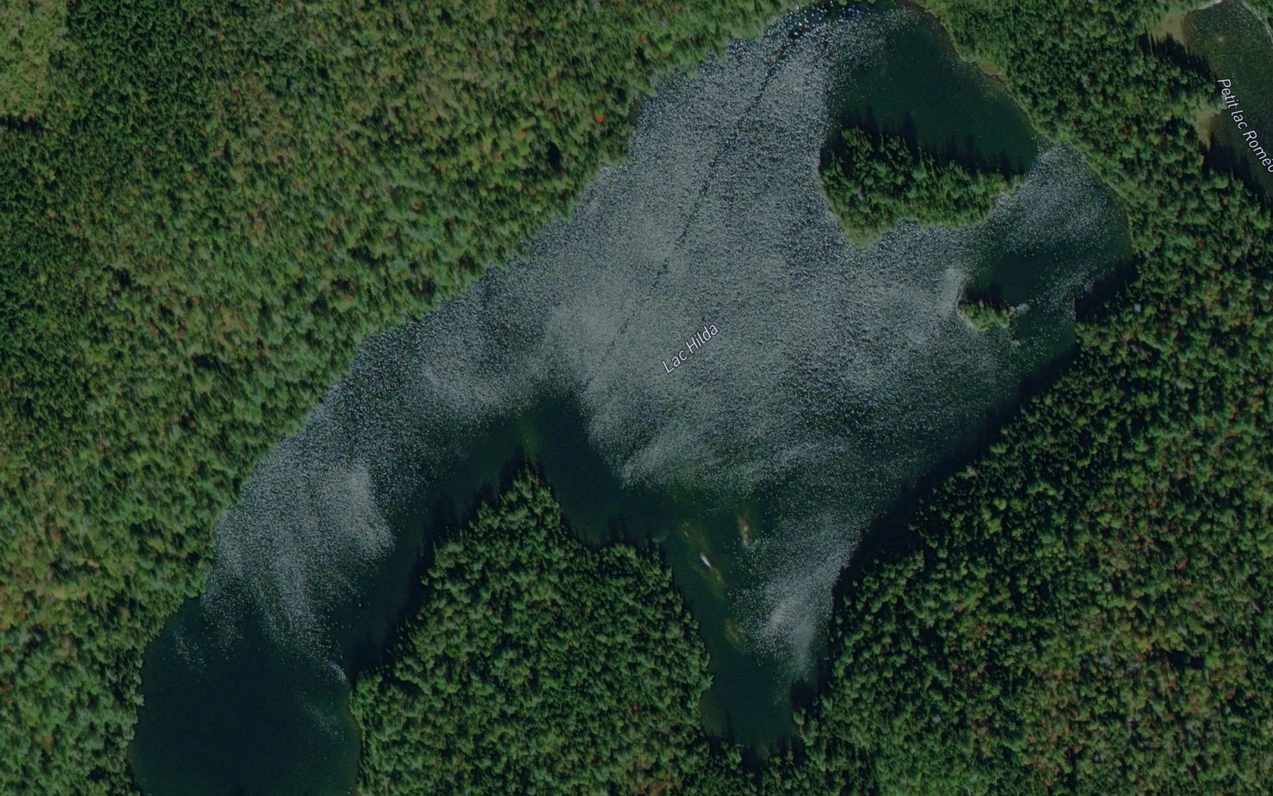 Satellite map of the Lac Hilda