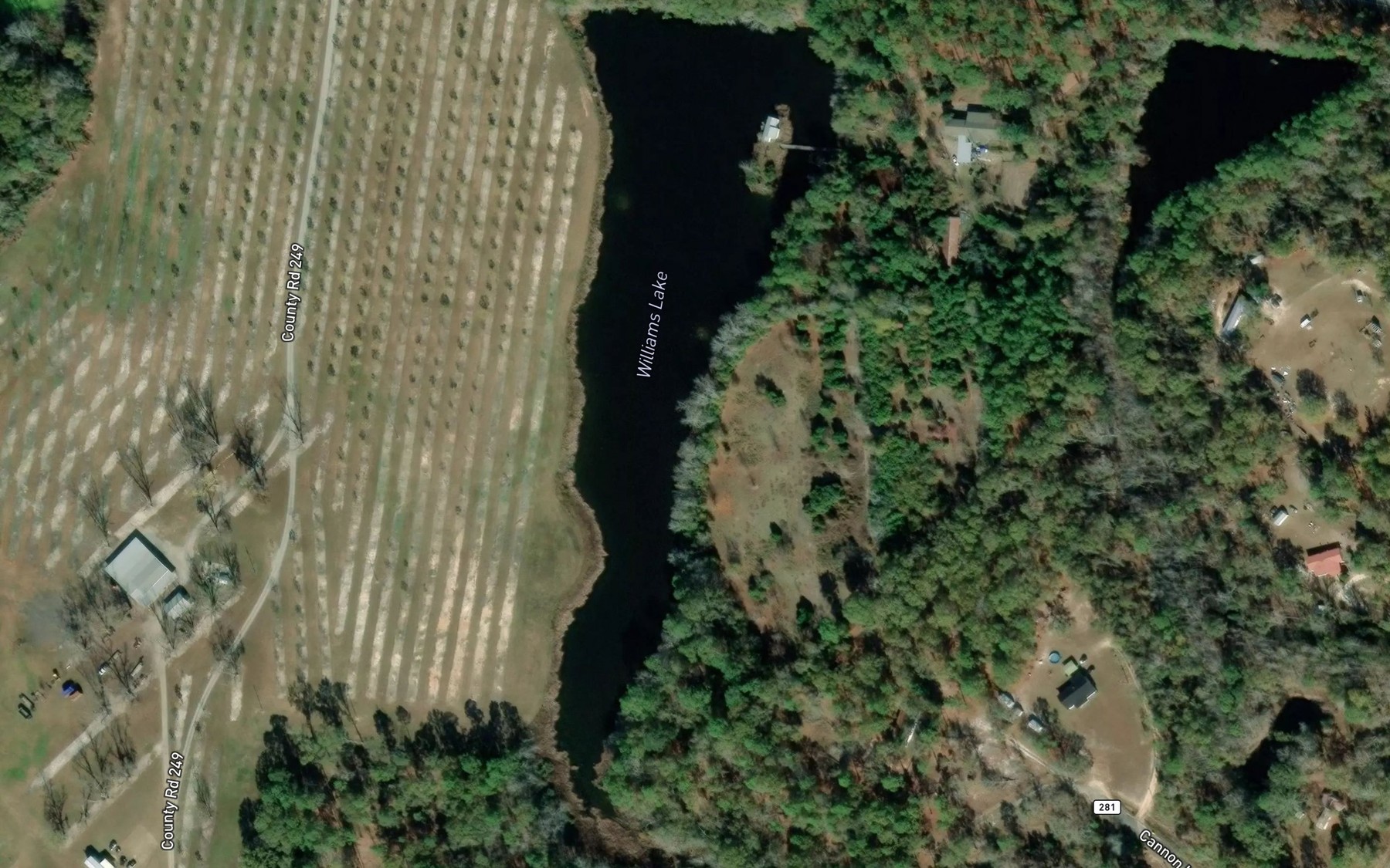 Satellite map of the Williams Lake