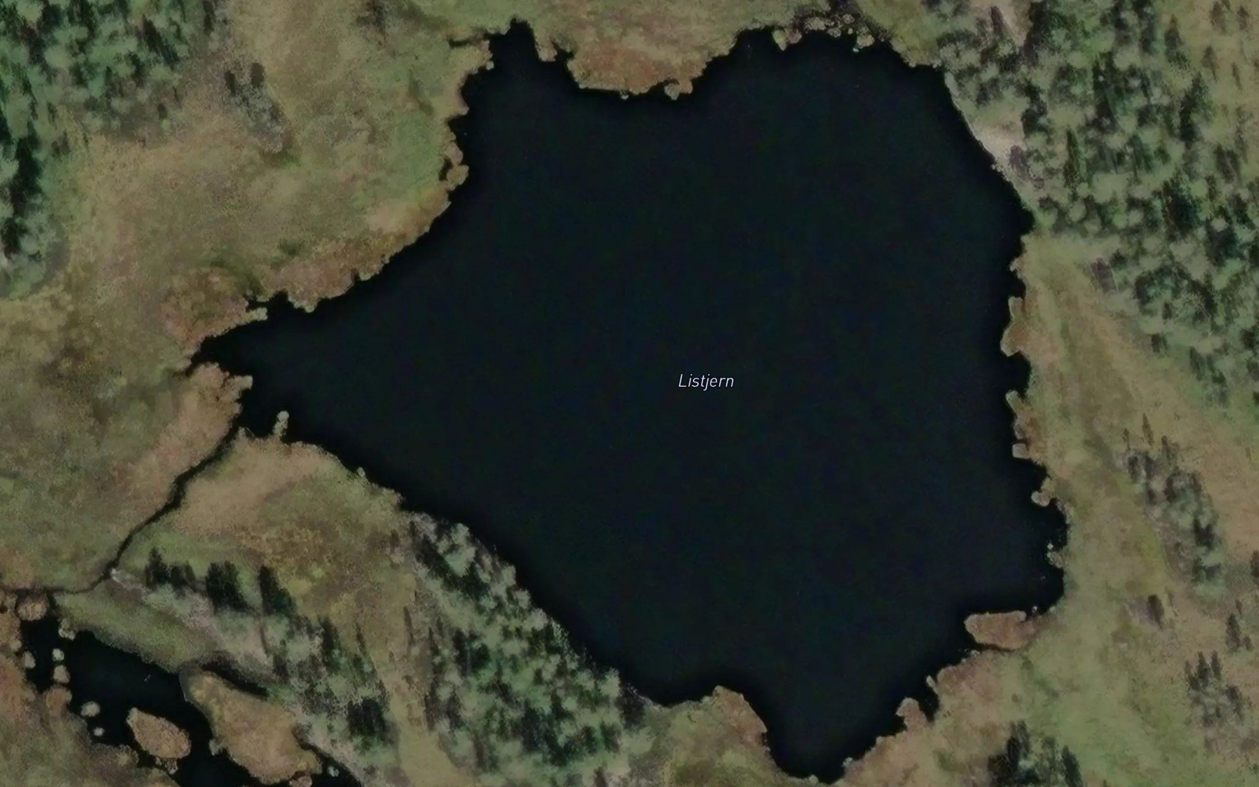 Listjernet