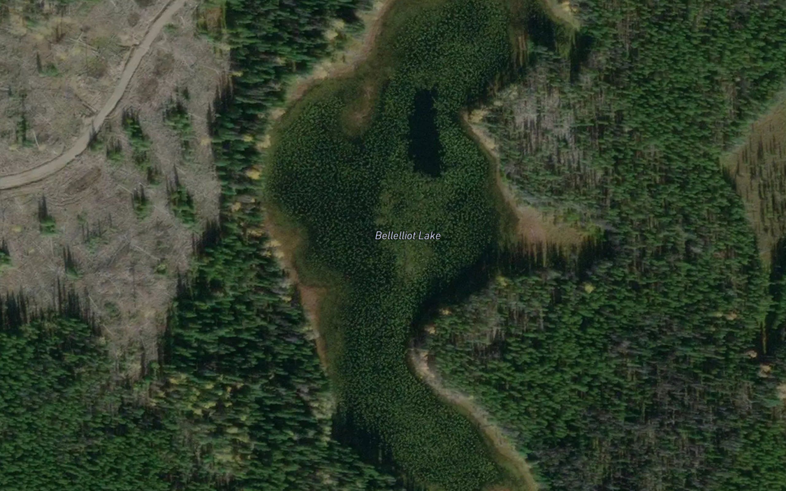 Bellelliot Lake