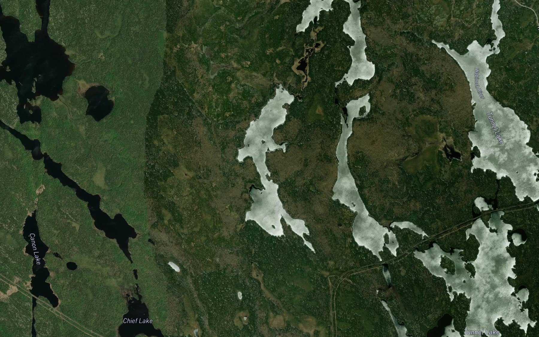 Satellite map of the Octopus Lake