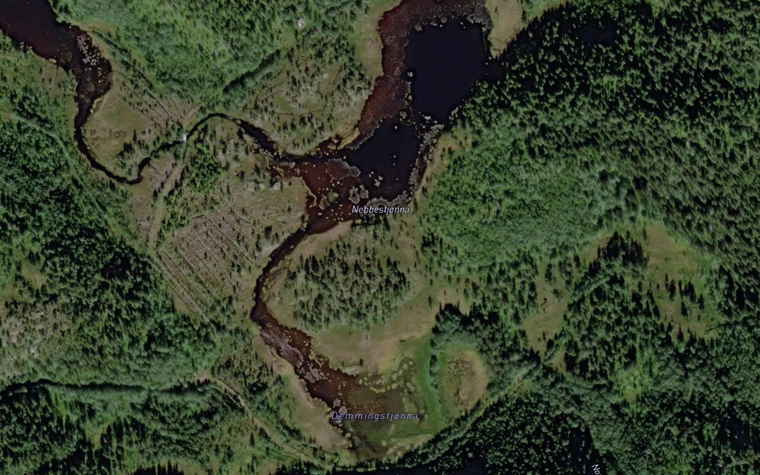 Nebbestjorna