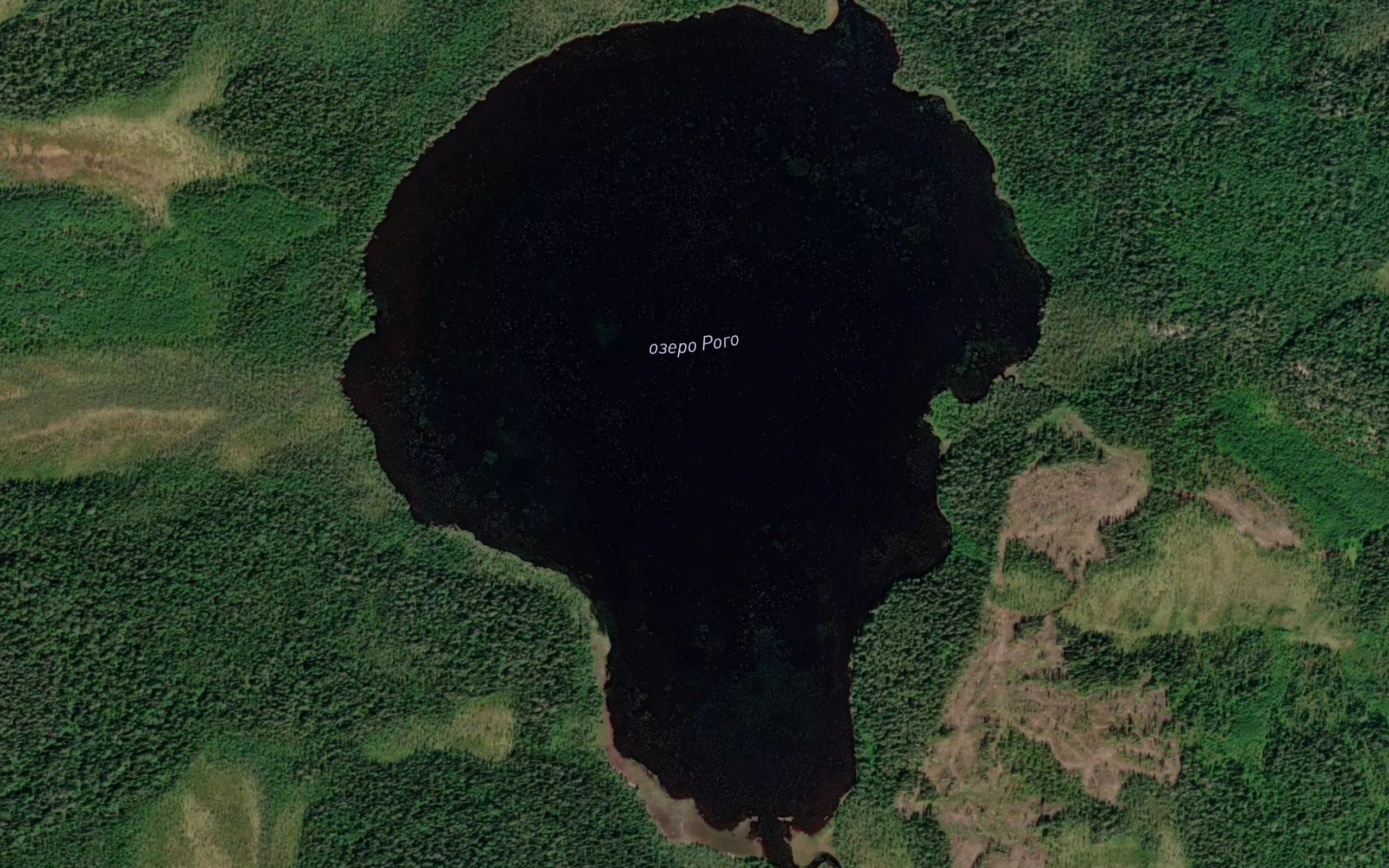 Ozero Rogo