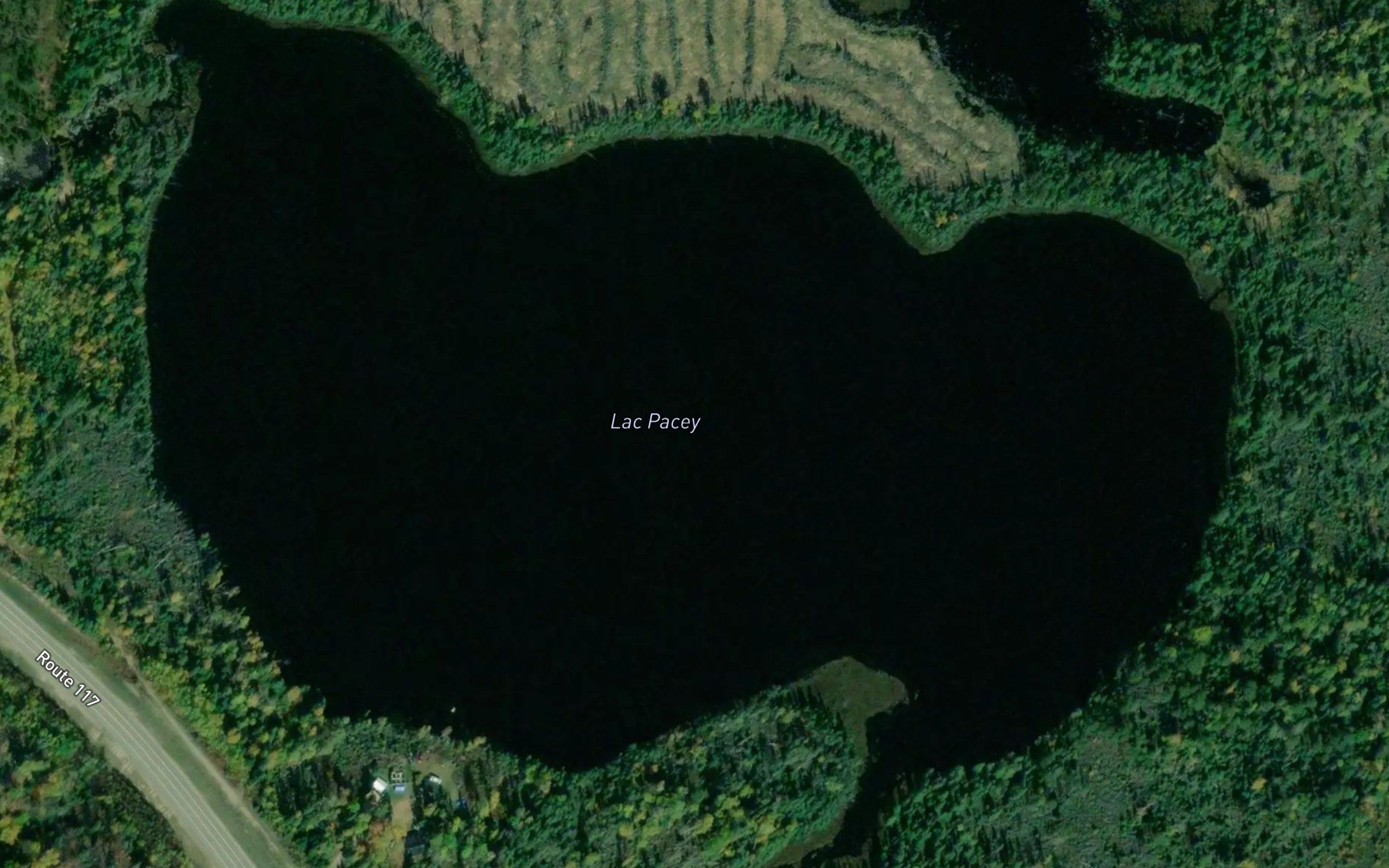 Lac Pacey
