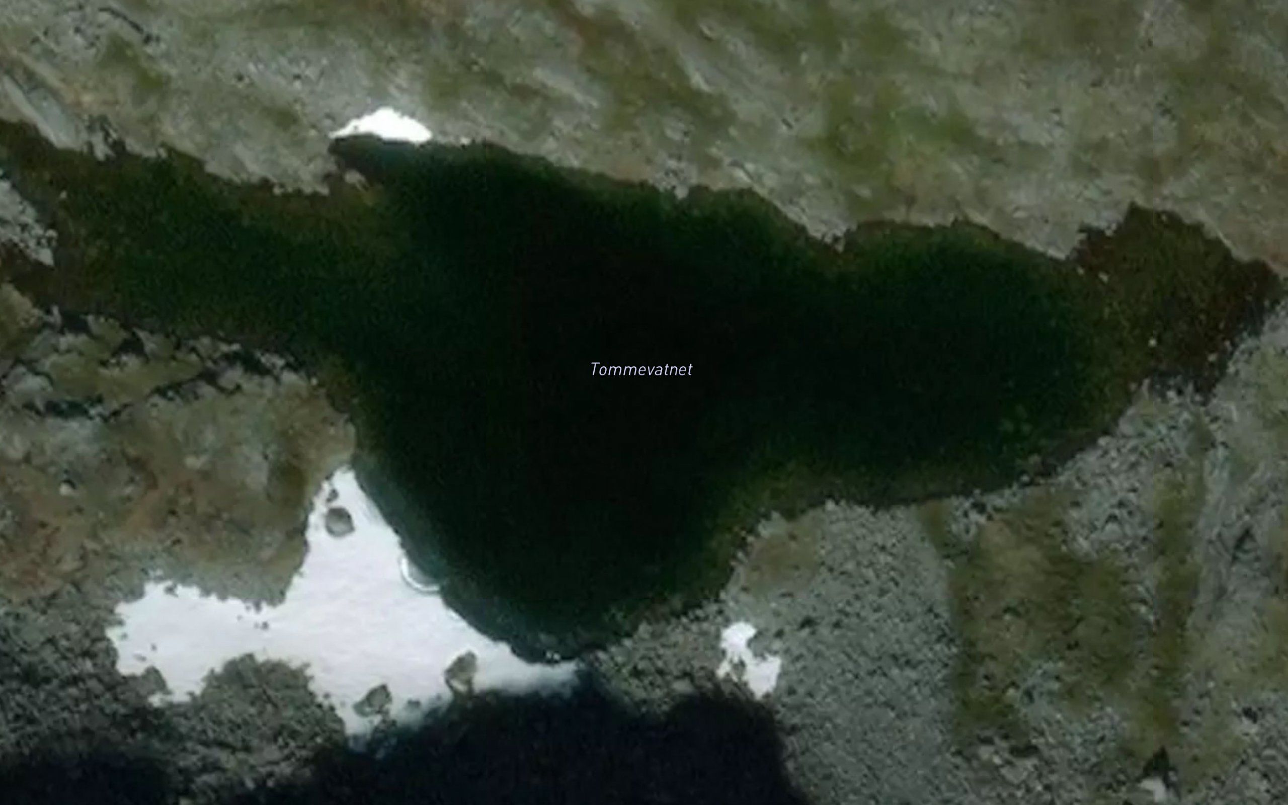 Tommevatnet