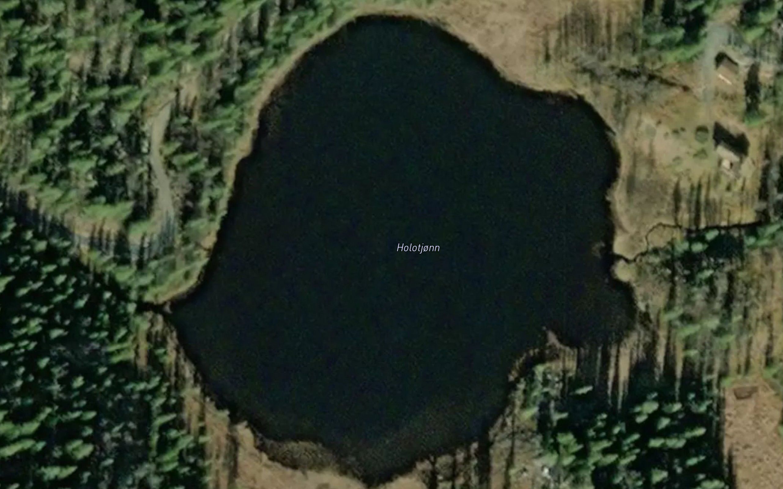 Holotjorn