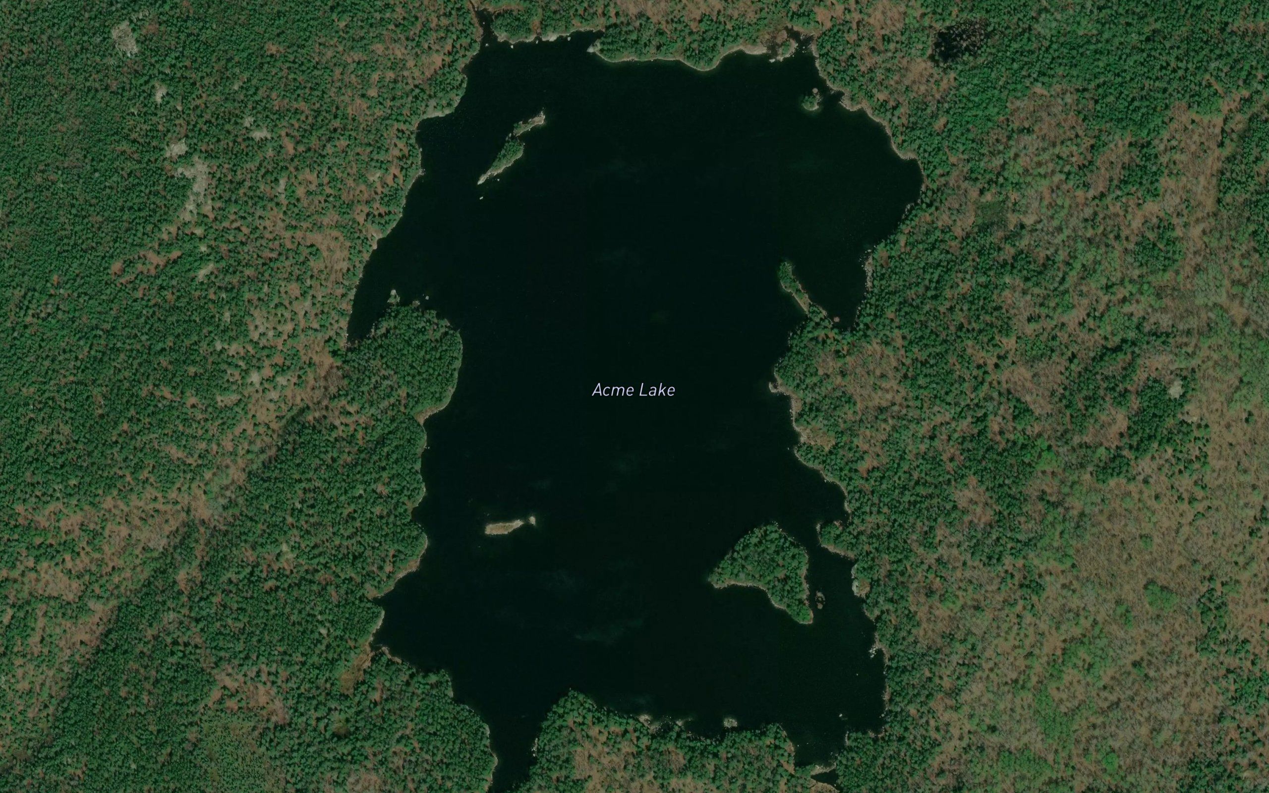Acme Lake